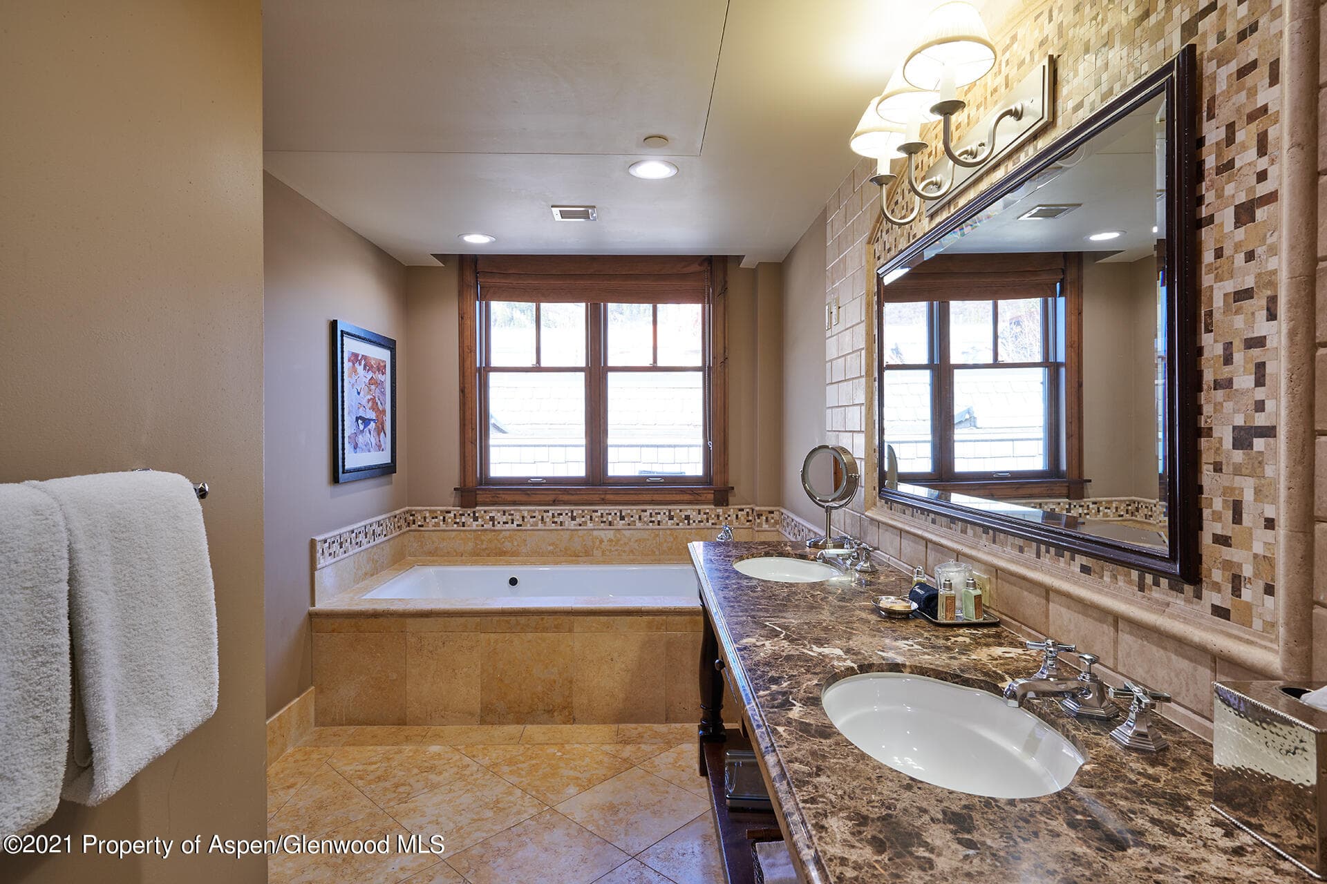 415 E Dean Unit 52, Week 26, Aspen, CO 81611 - Photo 9