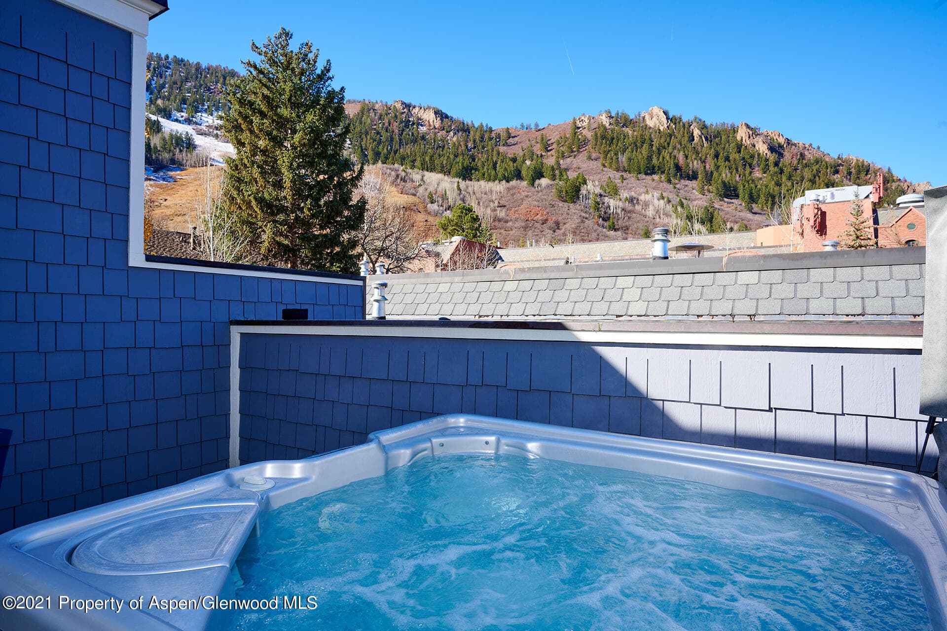 415 E Dean Unit 52, Week 26, Aspen, CO 81611 - Photo 16