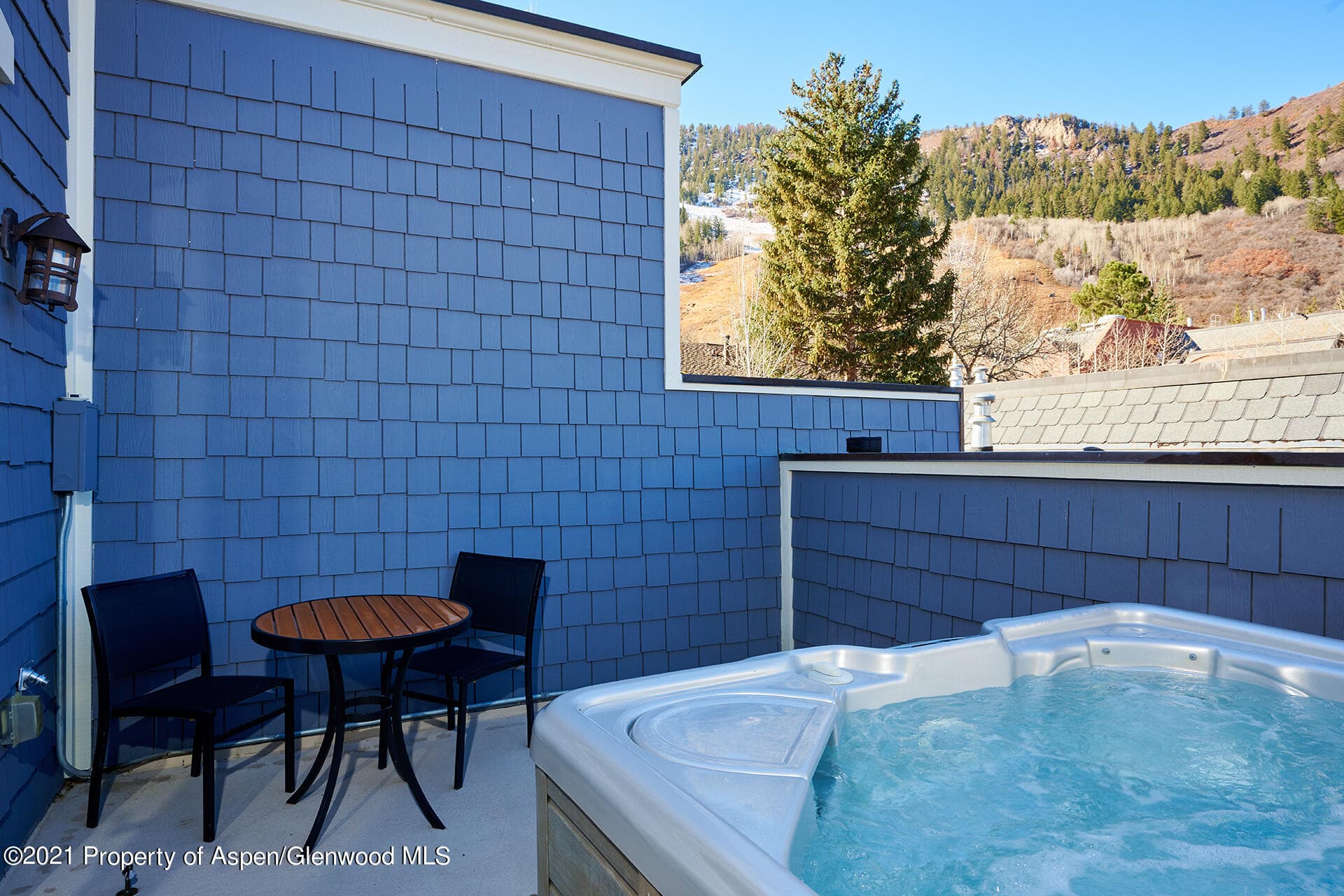 415 E Dean Unit 52, Week 26, Aspen, CO 81611 - Photo 17
