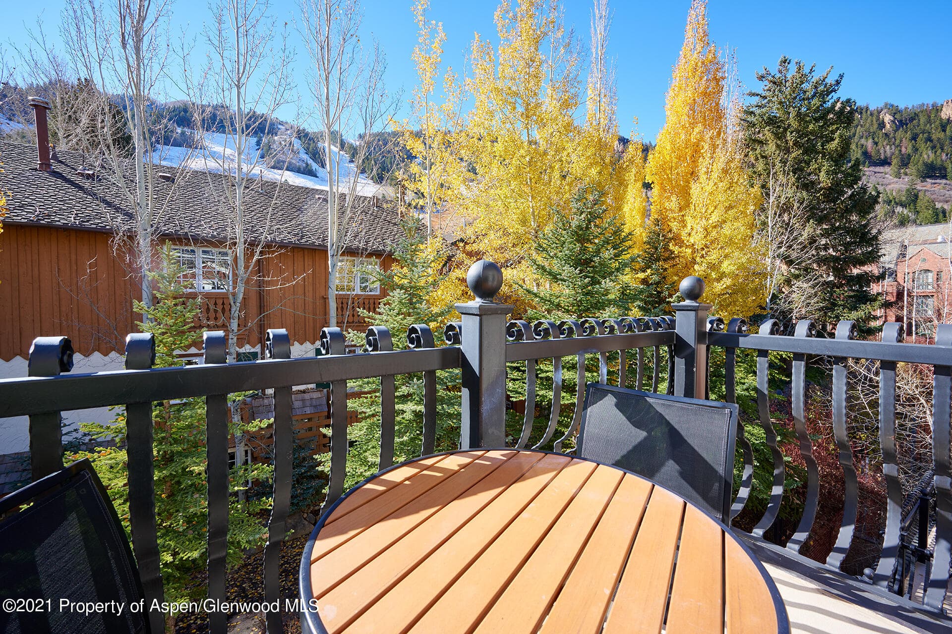 415 E Dean Unit 52, Week 26, Aspen, CO 81611 - Photo 18