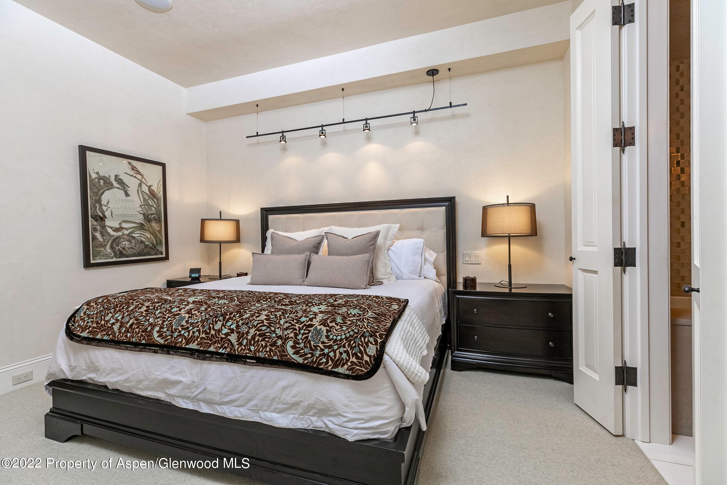 135 W Hopkins Avenue, Aspen, CO 81611 - Photo 11