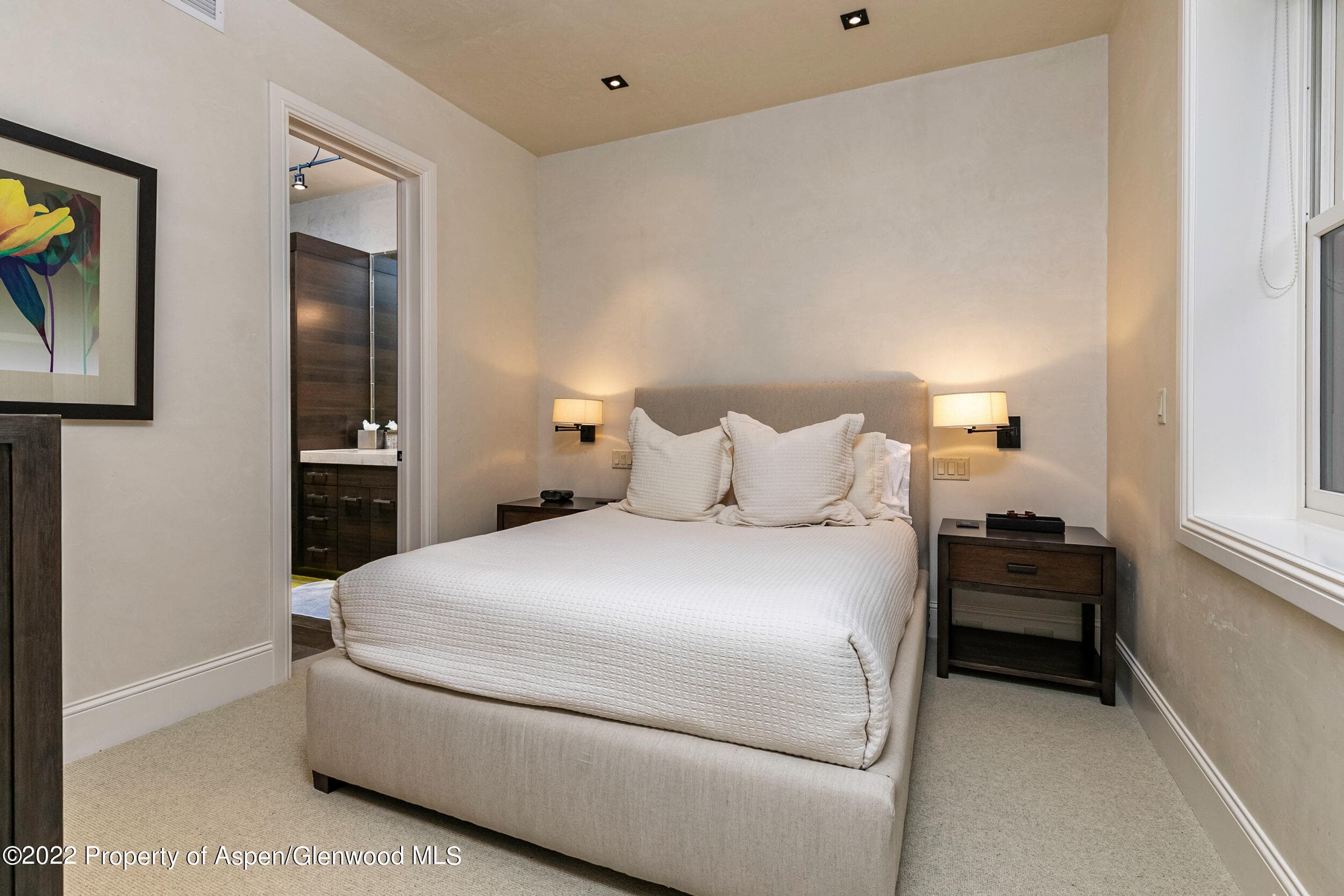 135 W Hopkins Avenue, Aspen, CO 81611 - Photo 14