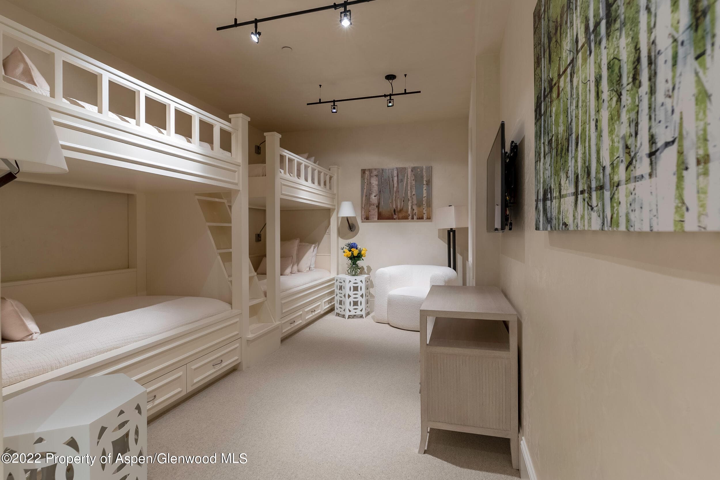 135 W Hopkins Avenue, Aspen, CO 81611 - Photo 17