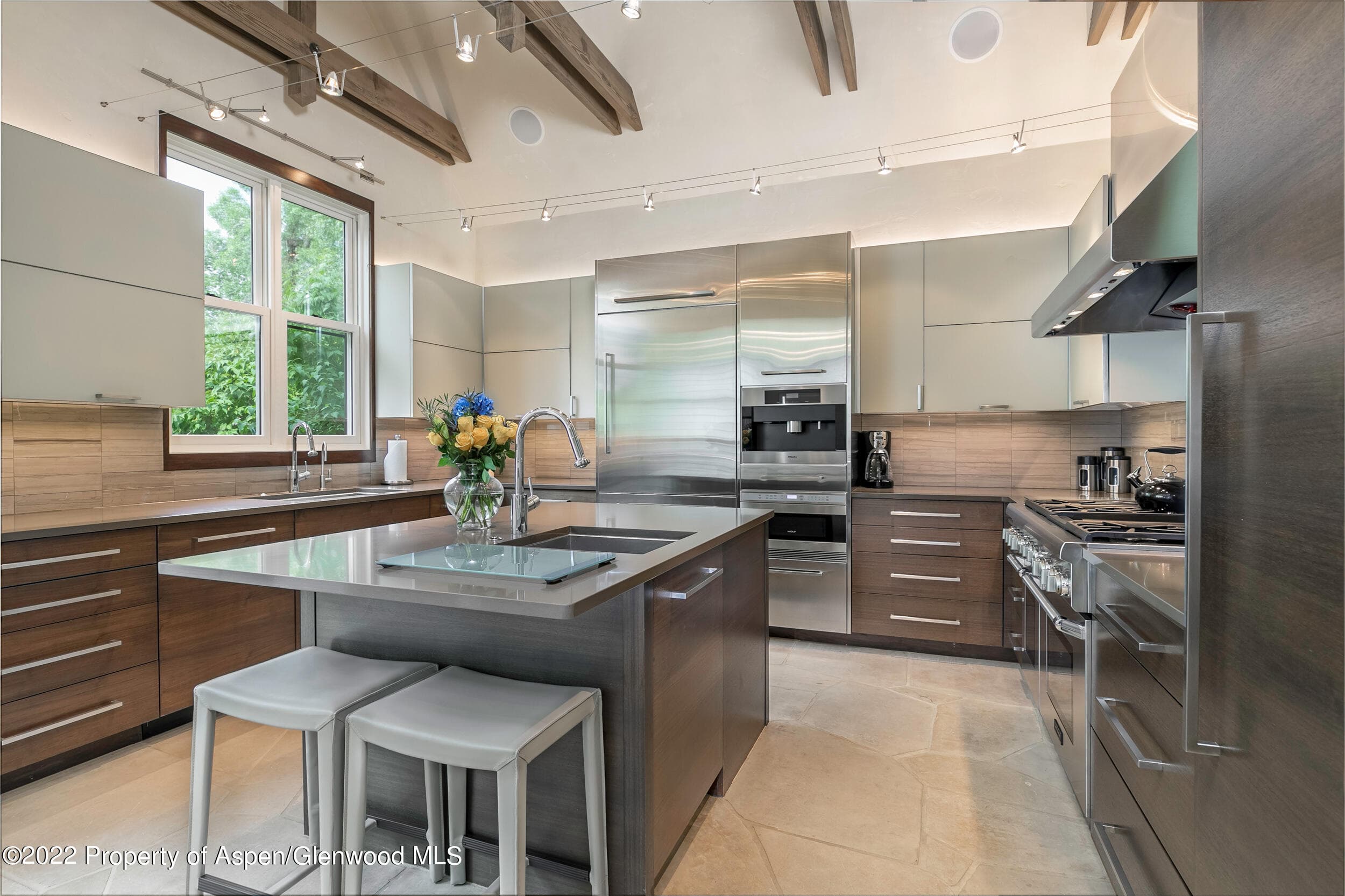 135 W Hopkins Avenue, Aspen, CO 81611 - Photo 4