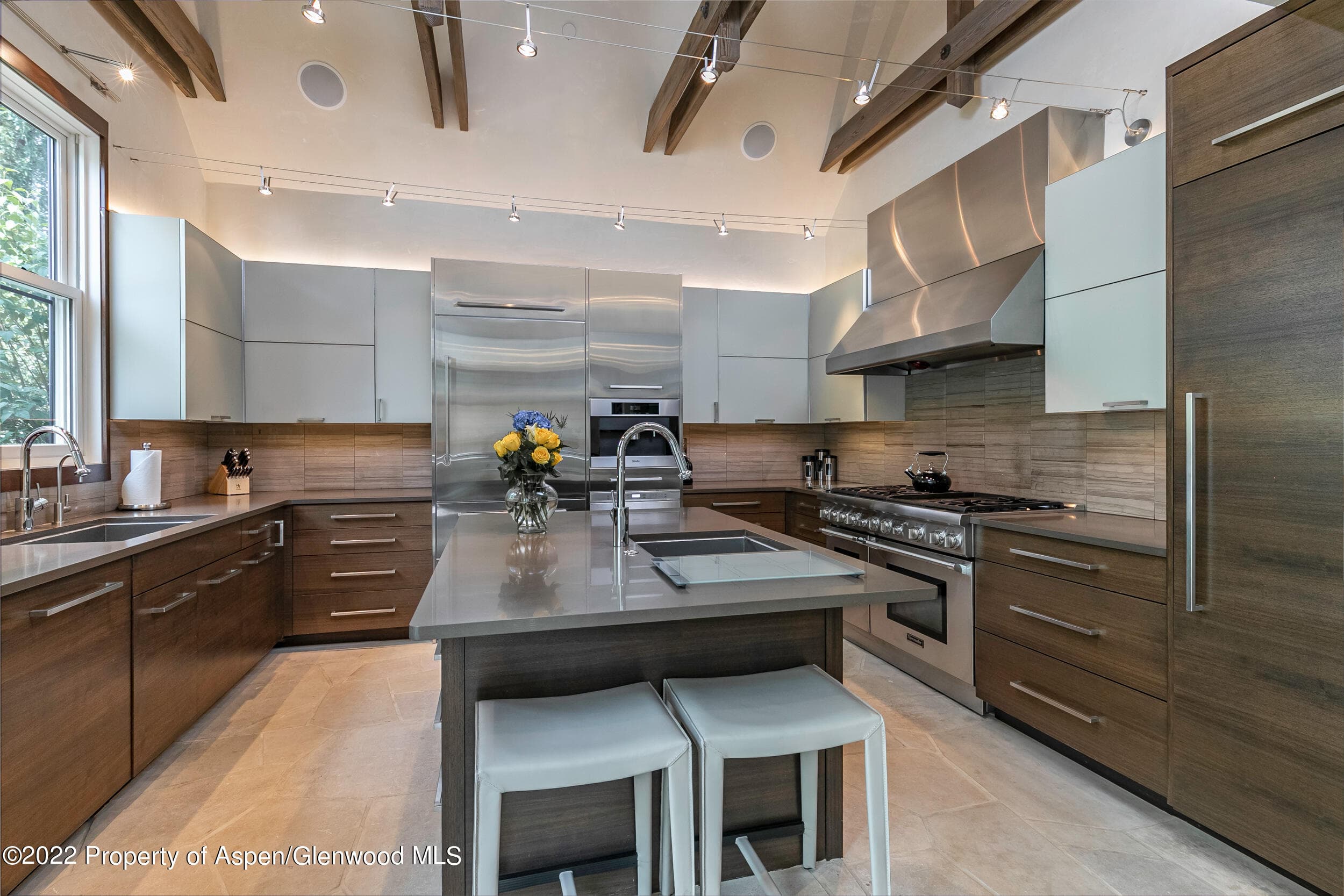 135 W Hopkins Avenue, Aspen, CO 81611 - Photo 5