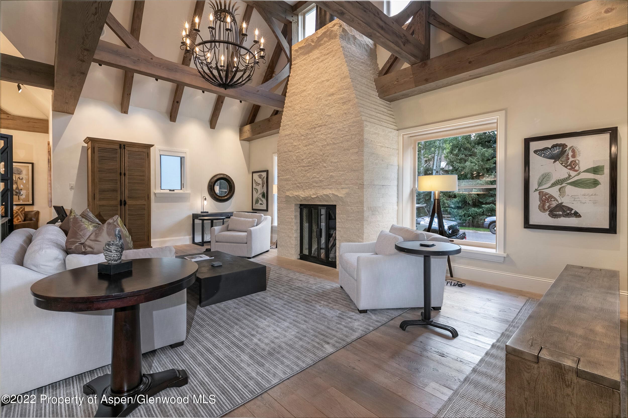 135 W Hopkins Avenue, Aspen, CO 81611 - Photo 3