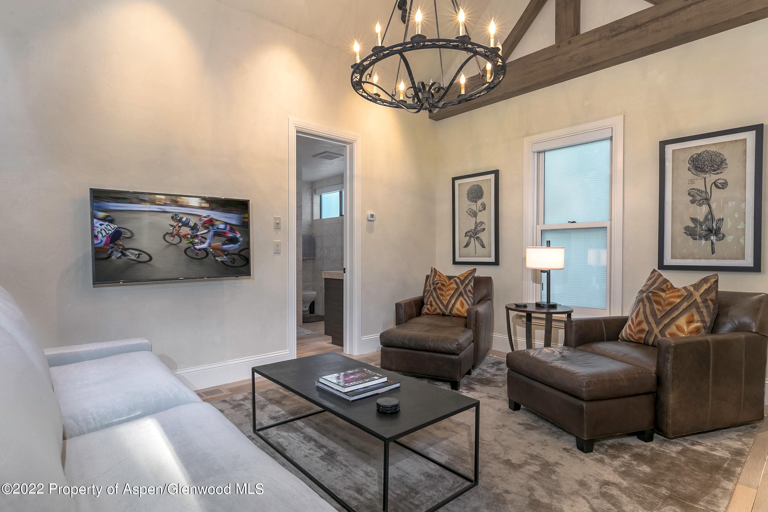 135 W Hopkins Avenue, Aspen, CO 81611 - Photo 8