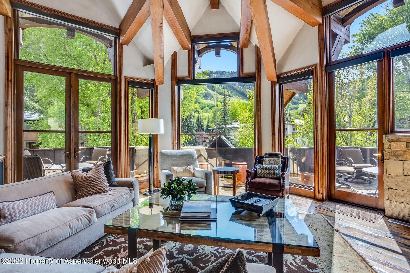 900 Waters Avenue, Aspen, CO 81611 - Photo 8