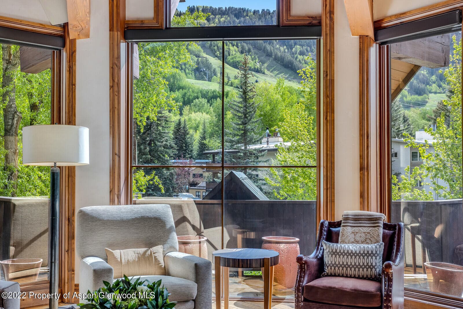 900 Waters Avenue, Aspen, CO 81611 - Photo 7