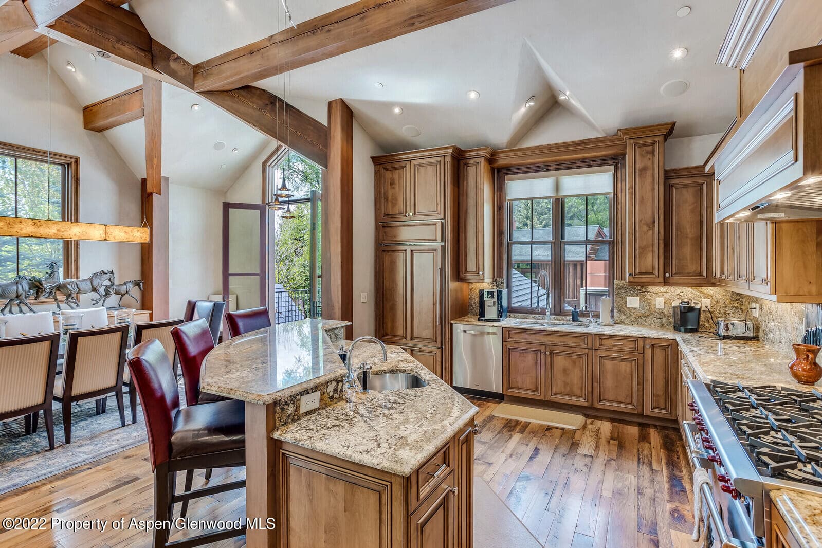 900 Waters Avenue, Aspen, CO 81611 - Photo 11