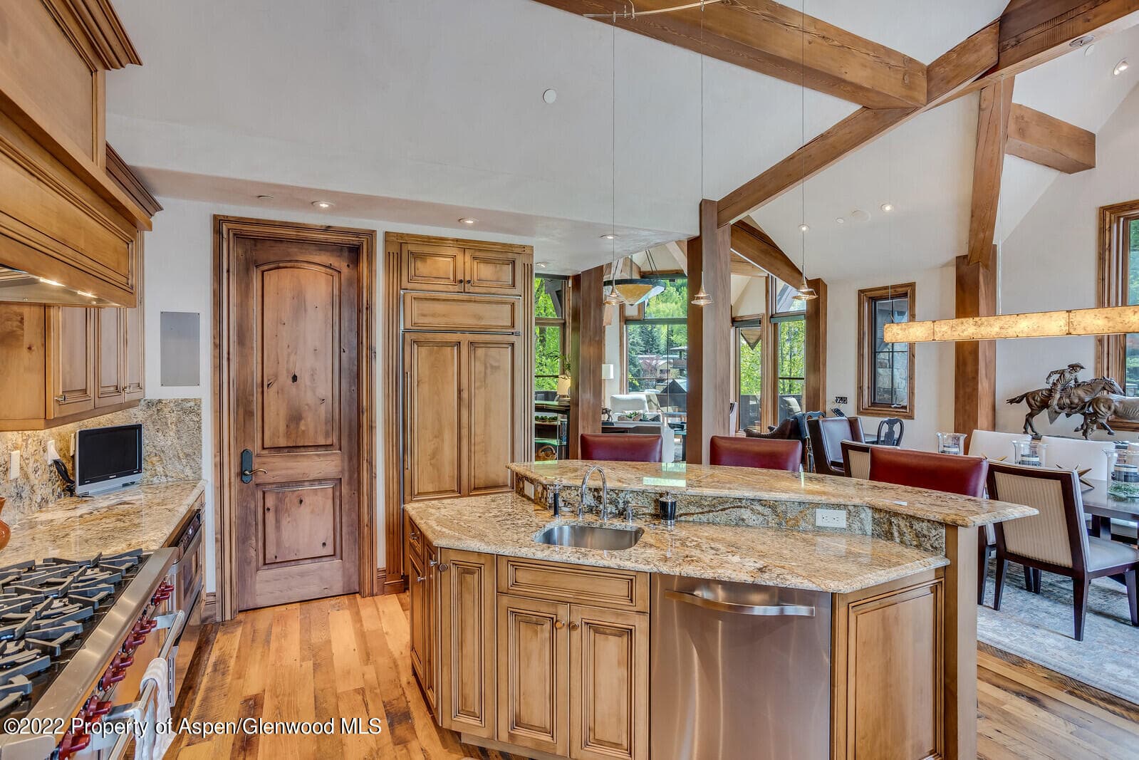 900 Waters Avenue, Aspen, CO 81611 - Photo 10