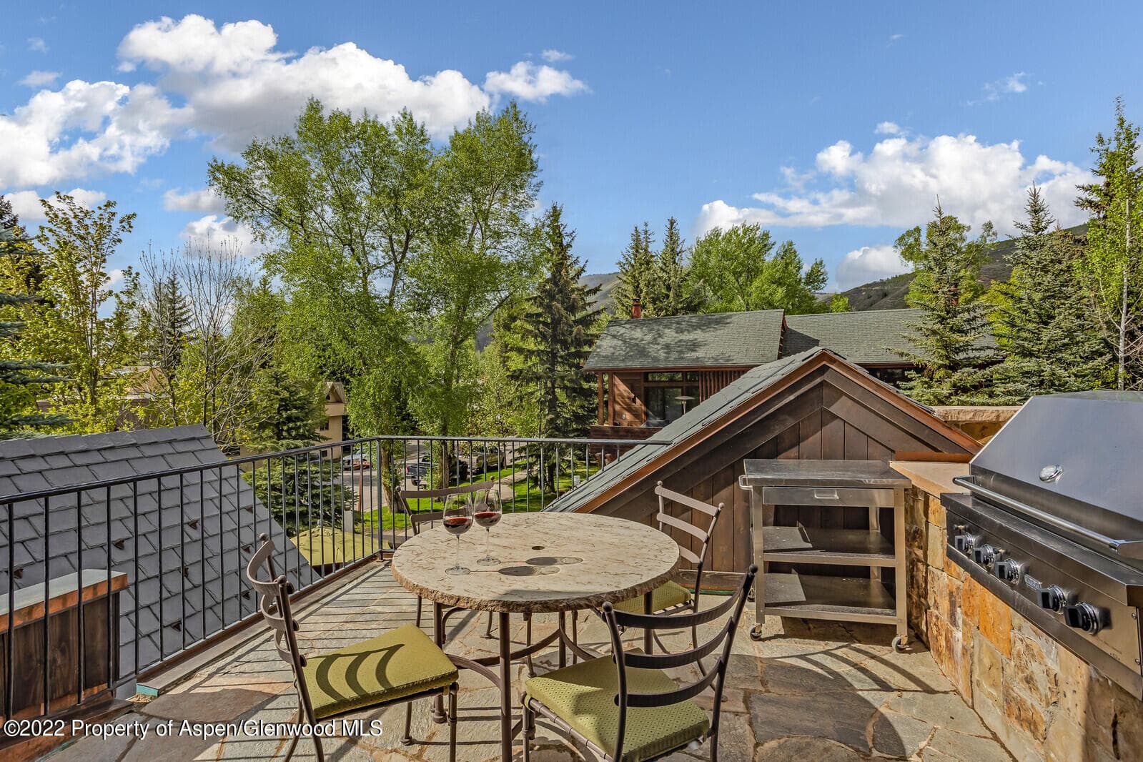 900 Waters Avenue, Aspen, CO 81611 - Photo 16