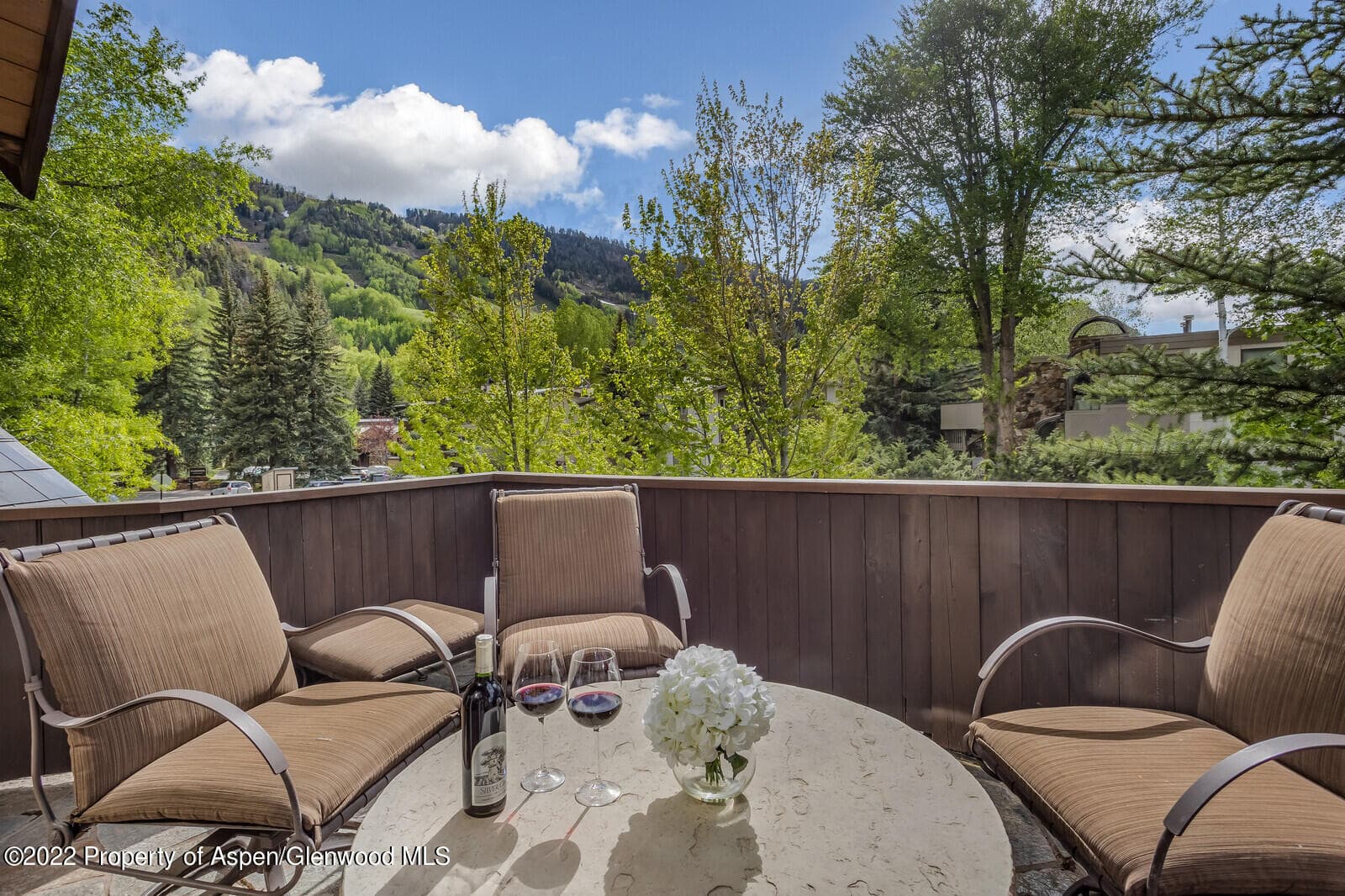 900 Waters Avenue, Aspen, CO 81611 - Photo 5