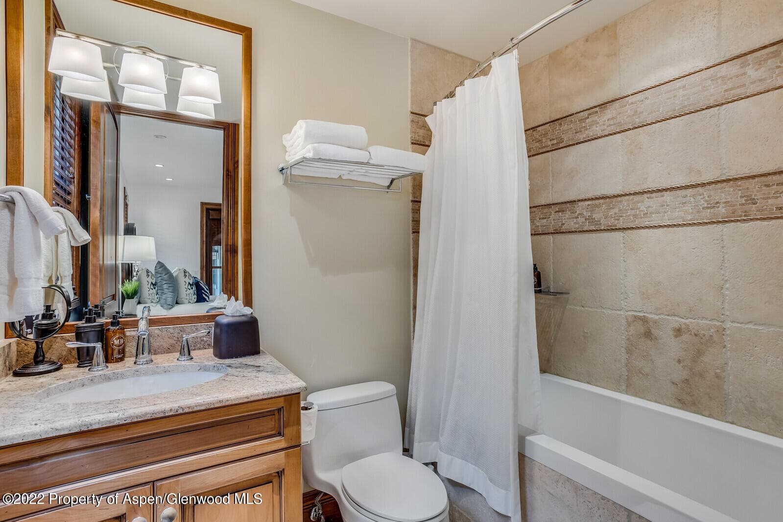 900 Waters Avenue, Aspen, CO 81611 - Photo 33