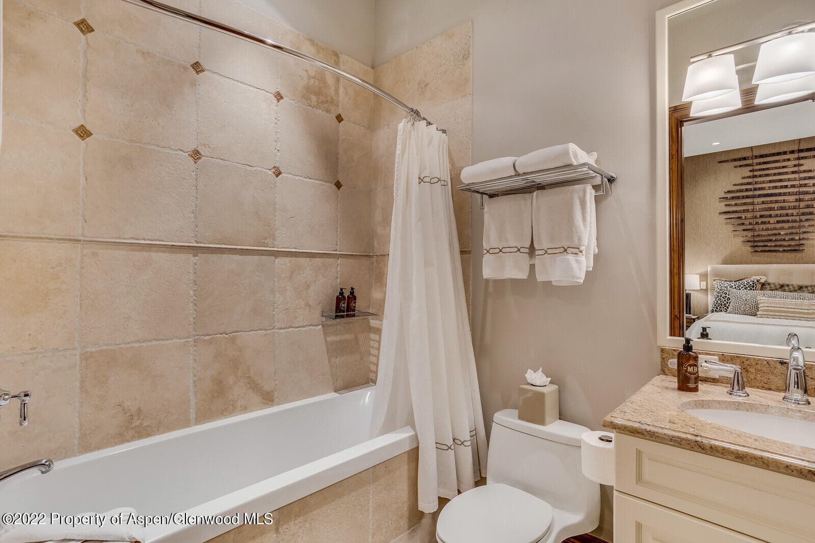 900 Waters Avenue, Aspen, CO 81611 - Photo 44