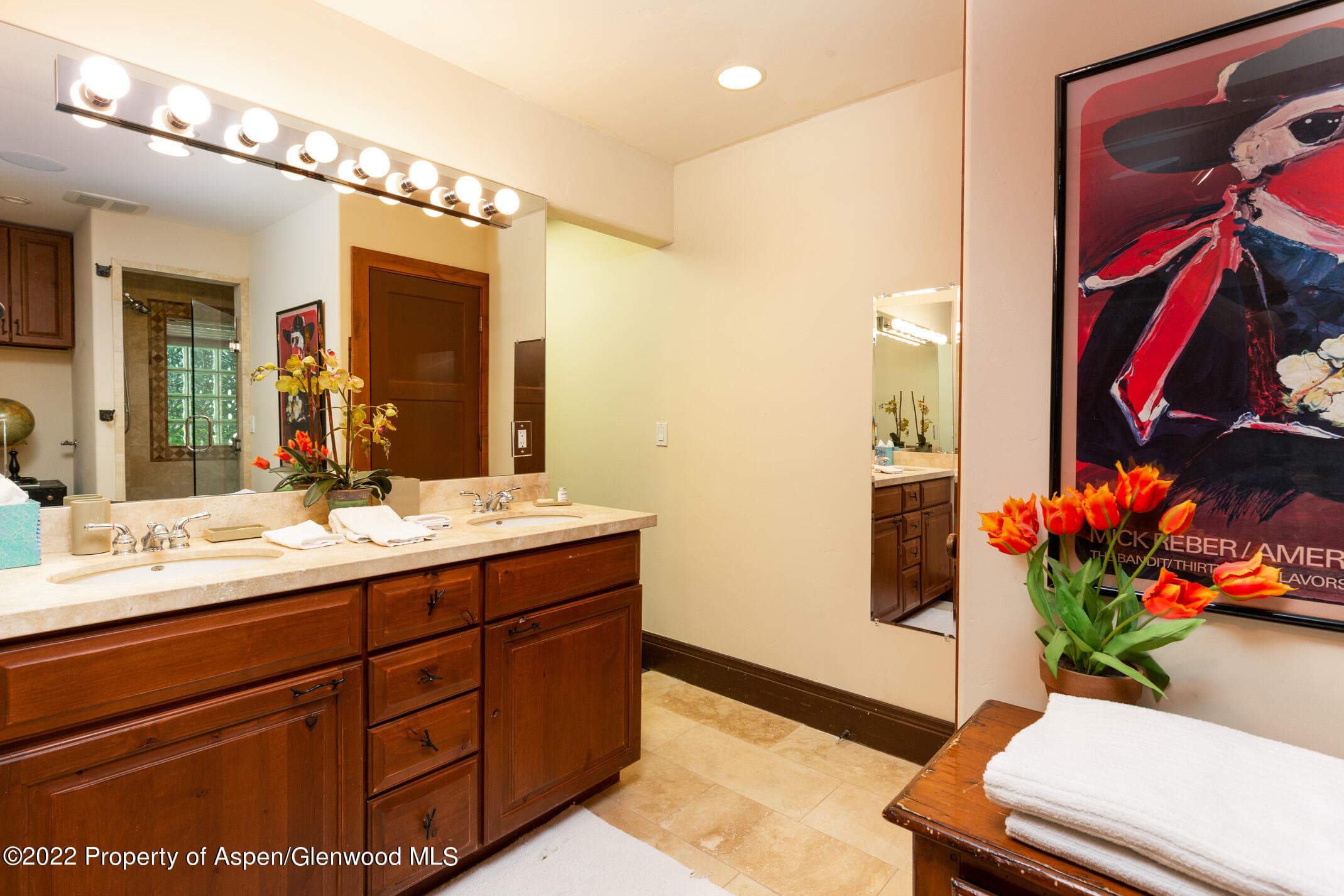 107 Aspen Mountain Road 5, Aspen, CO 81611 - Photo 12