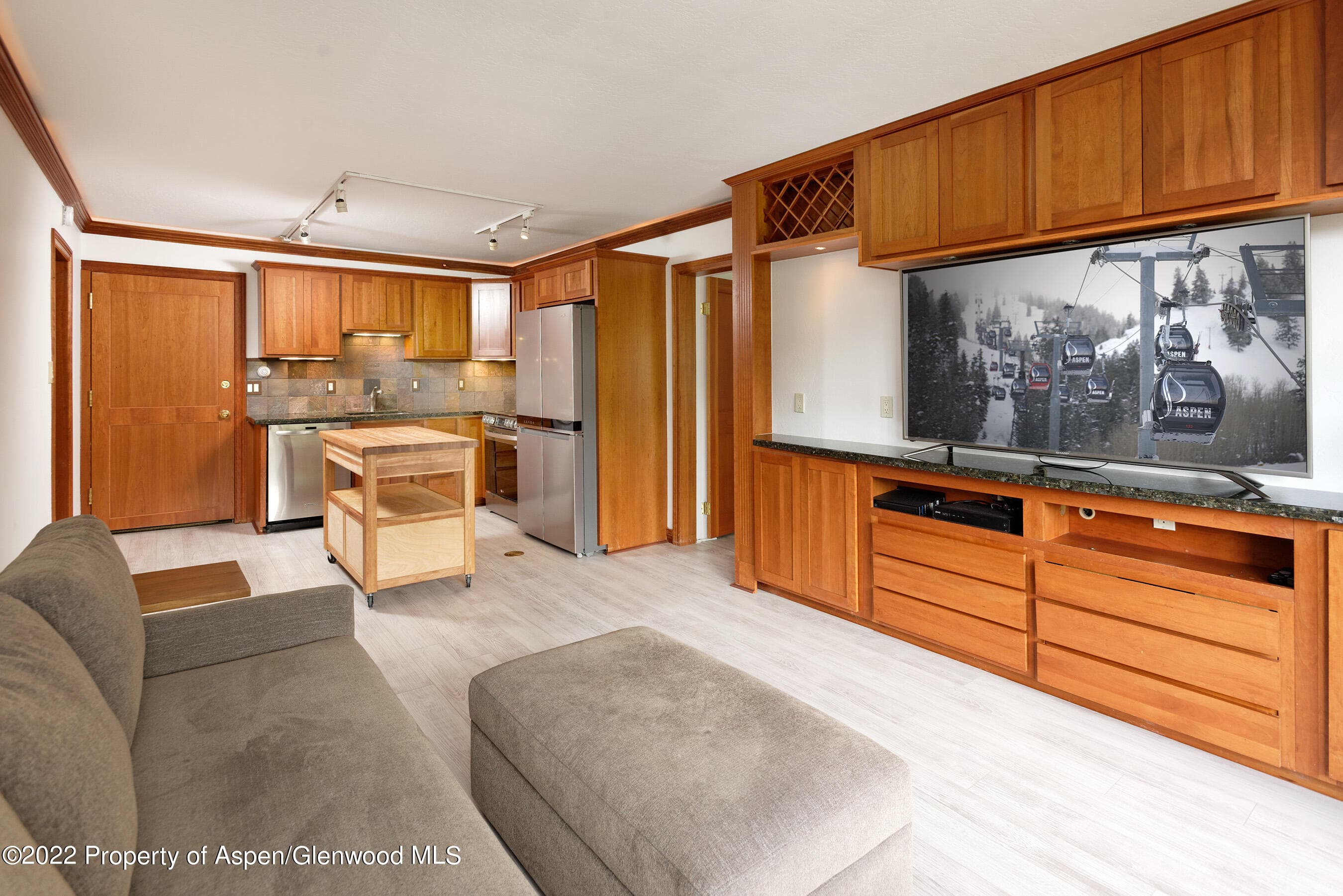 335 Vine Street 335, Aspen, CO 81611 - Photo 2
