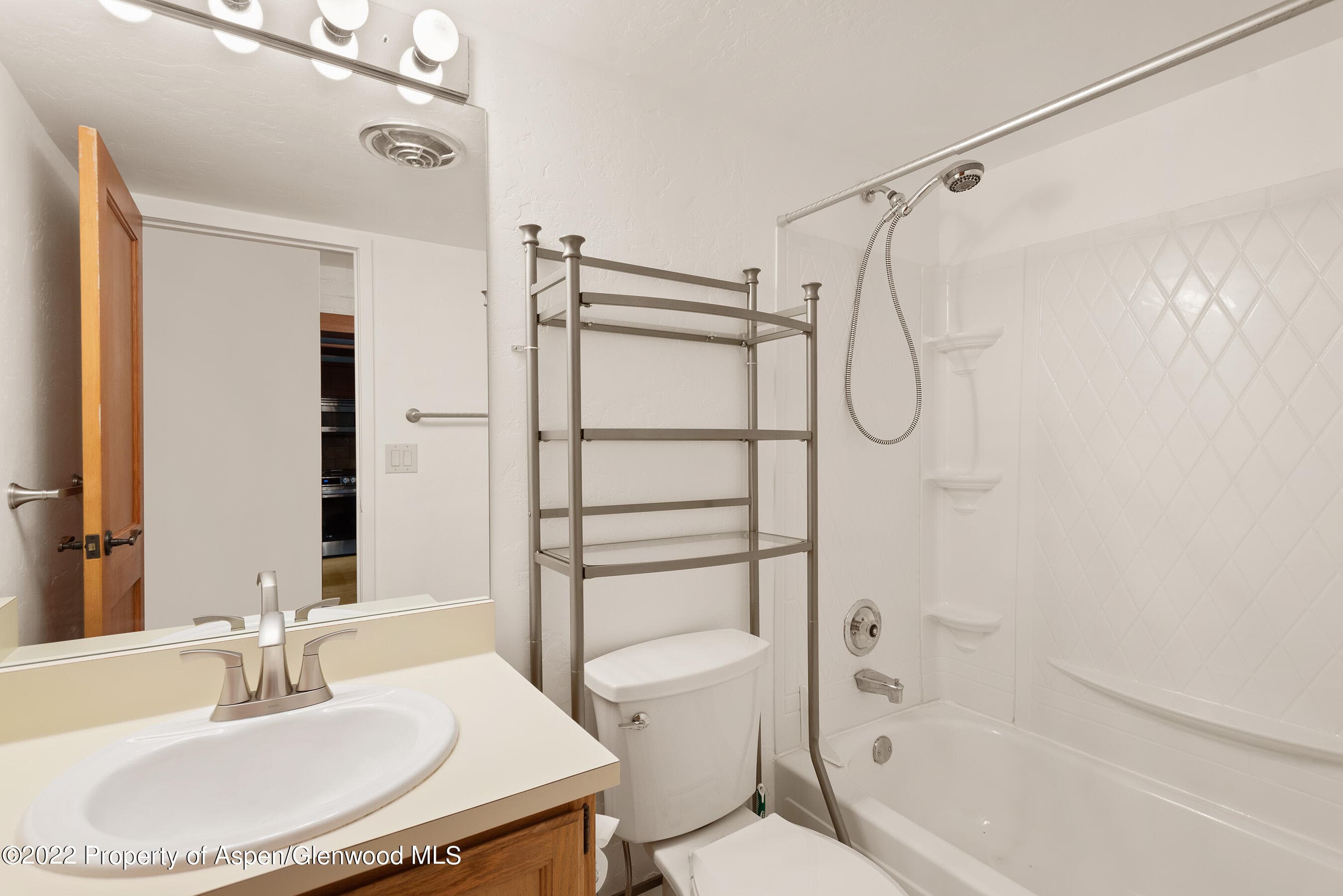 335 Vine Street 335, Aspen, CO 81611 - Photo 13
