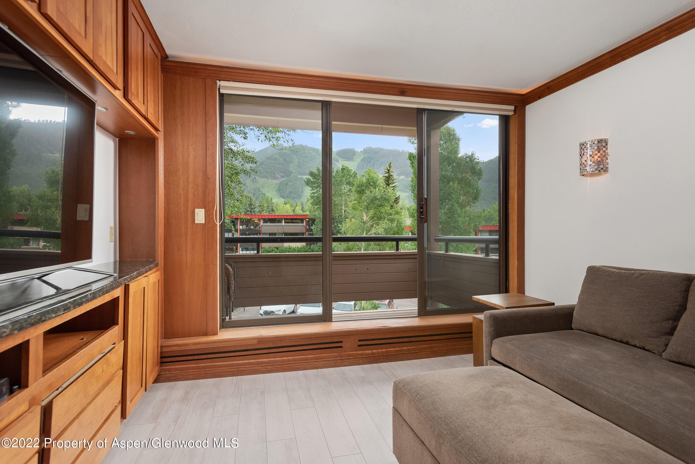 335 Vine Street 335, Aspen, CO 81611 - Photo 7