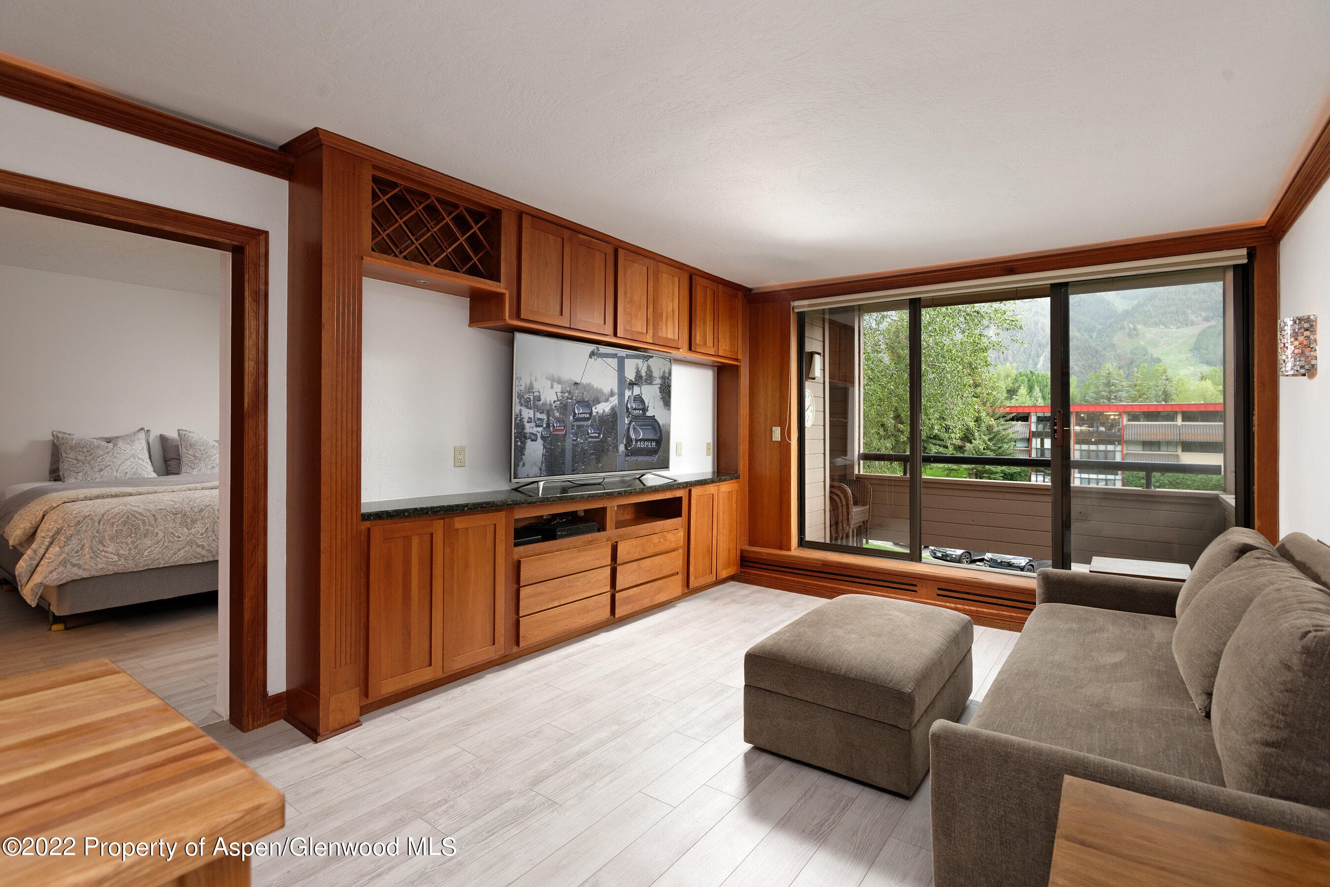 335 Vine Street 335, Aspen, CO 81611 - Photo 5