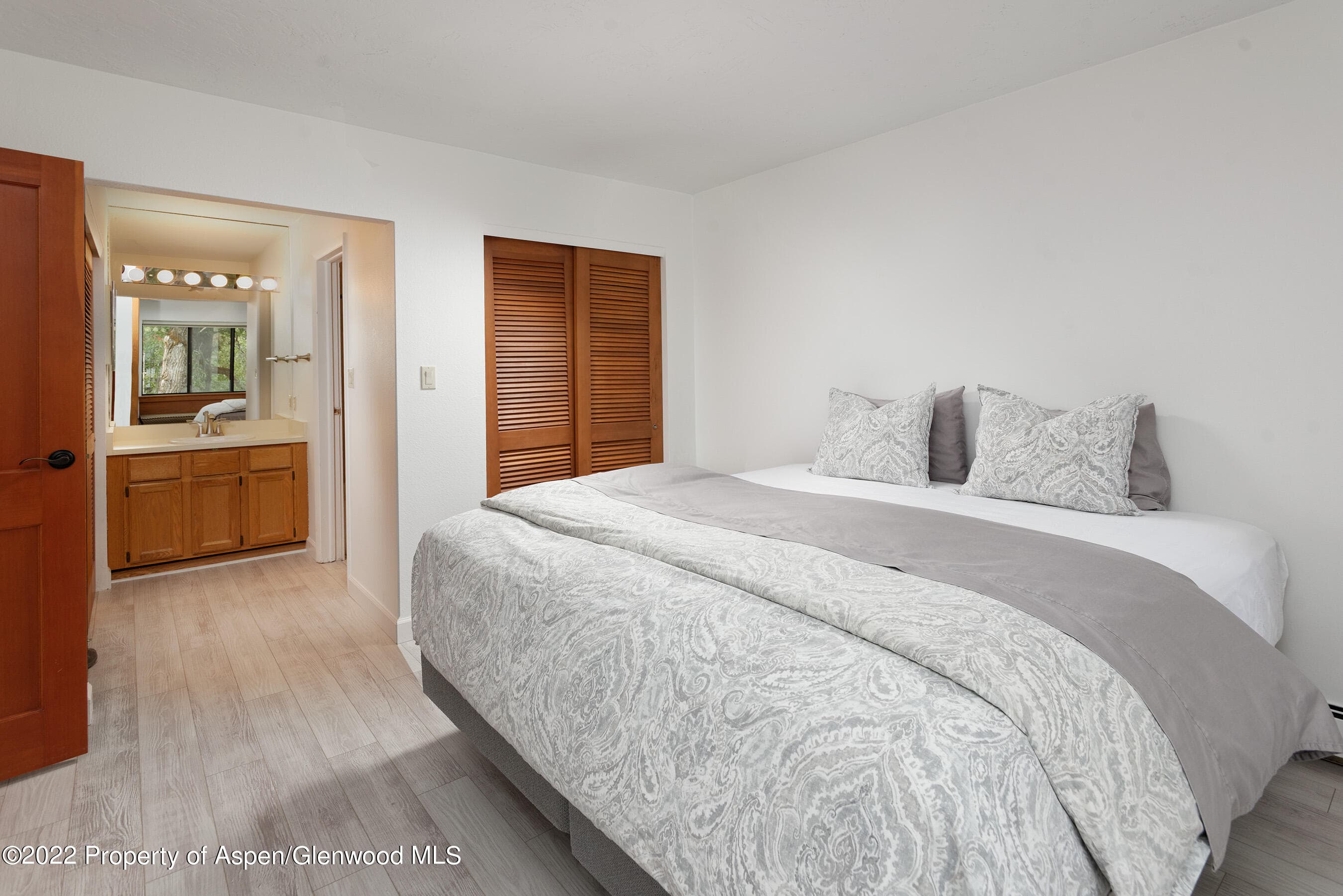 335 Vine Street 335, Aspen, CO 81611 - Photo 11