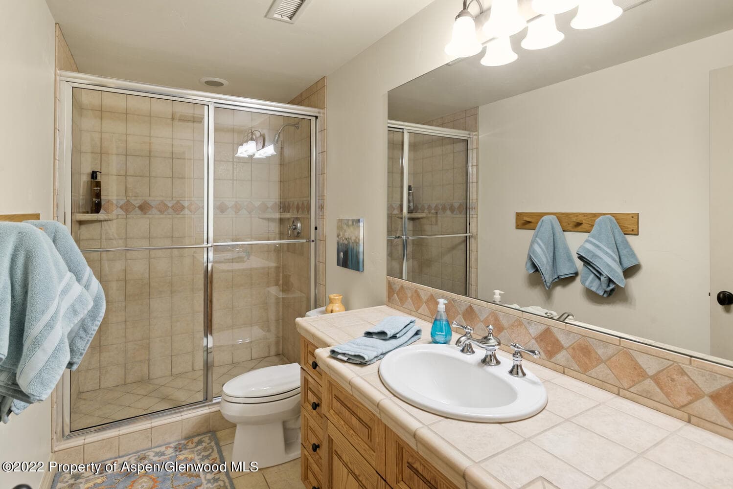 62 Alpen Glo Lane B, Carbondale, CO 81623 - Photo 26