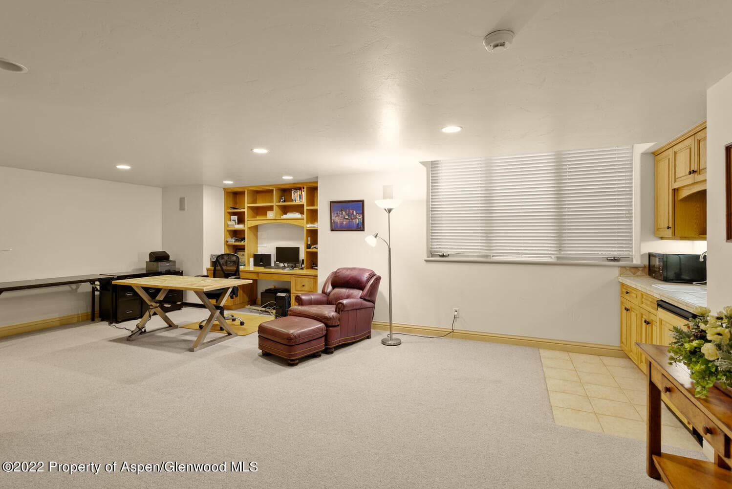 62 Alpen Glo Lane B, Carbondale, CO 81623 - Photo 29