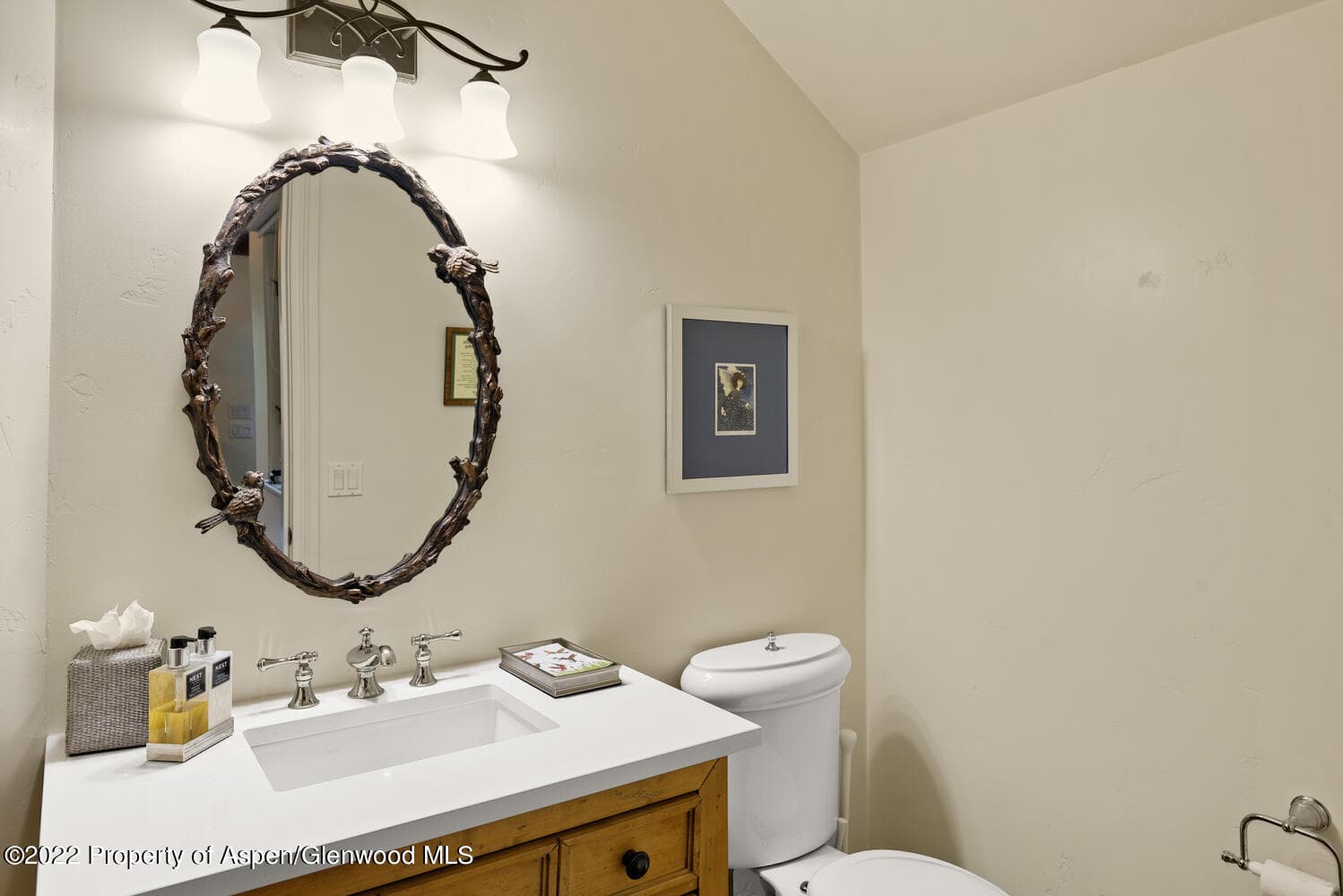 62 Alpen Glo Lane B, Carbondale, CO 81623 - Photo 32
