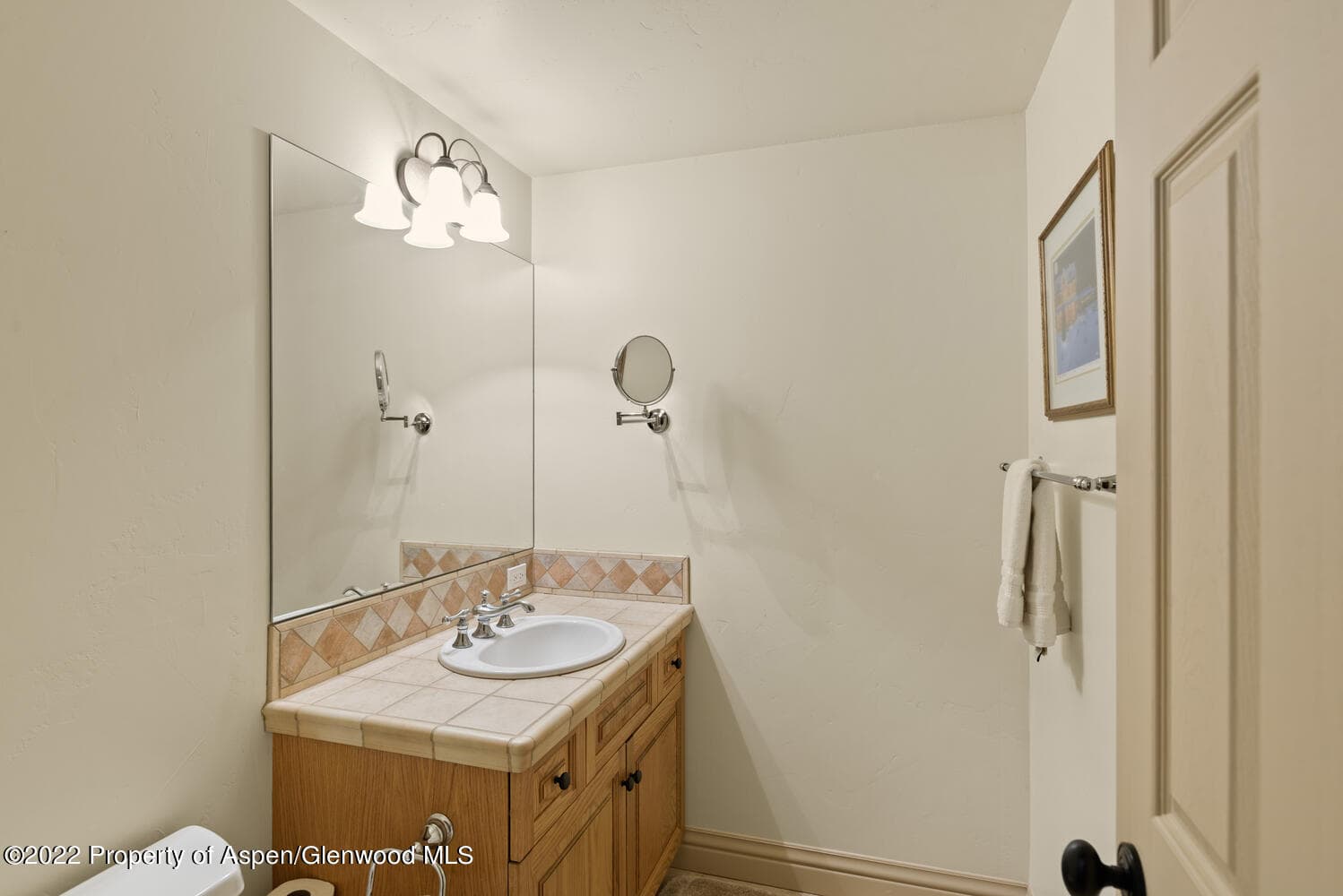 62 Alpen Glo Lane B, Carbondale, CO 81623 - Photo 30