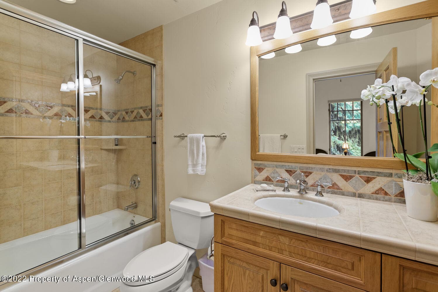 62 Alpen Glo Lane B, Carbondale, CO 81623 - Photo 21