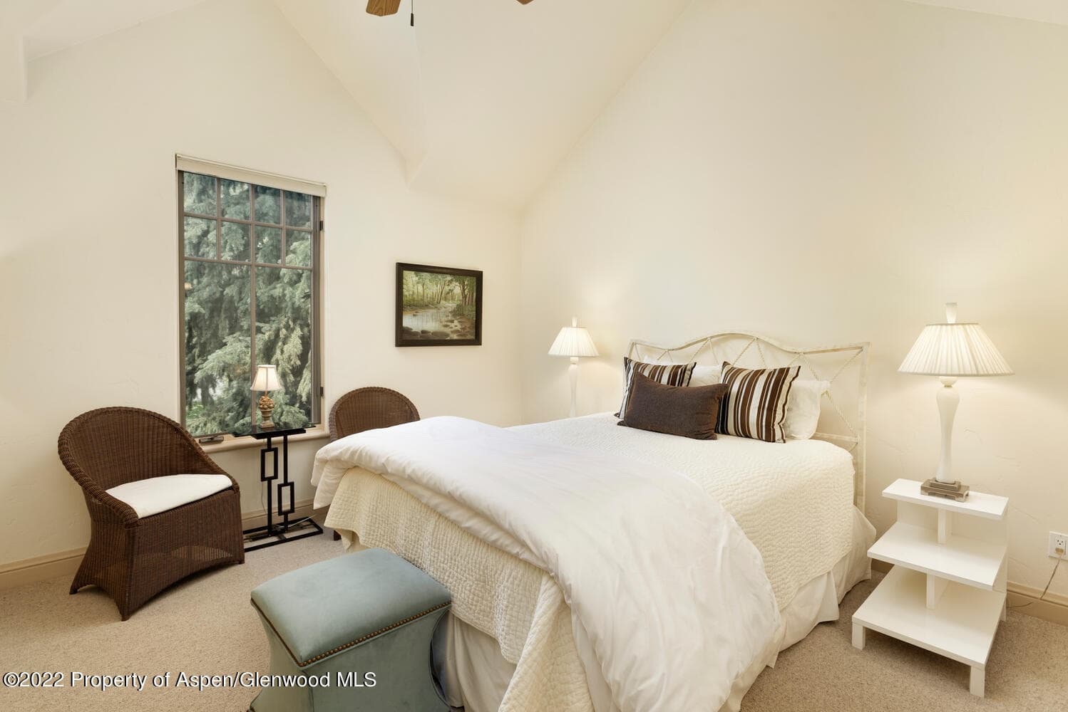 62 Alpen Glo Lane B, Carbondale, CO 81623 - Photo 20