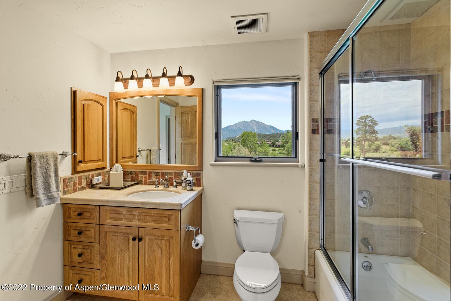62 Alpen Glo Lane B, Carbondale, CO 81623 - Photo 19