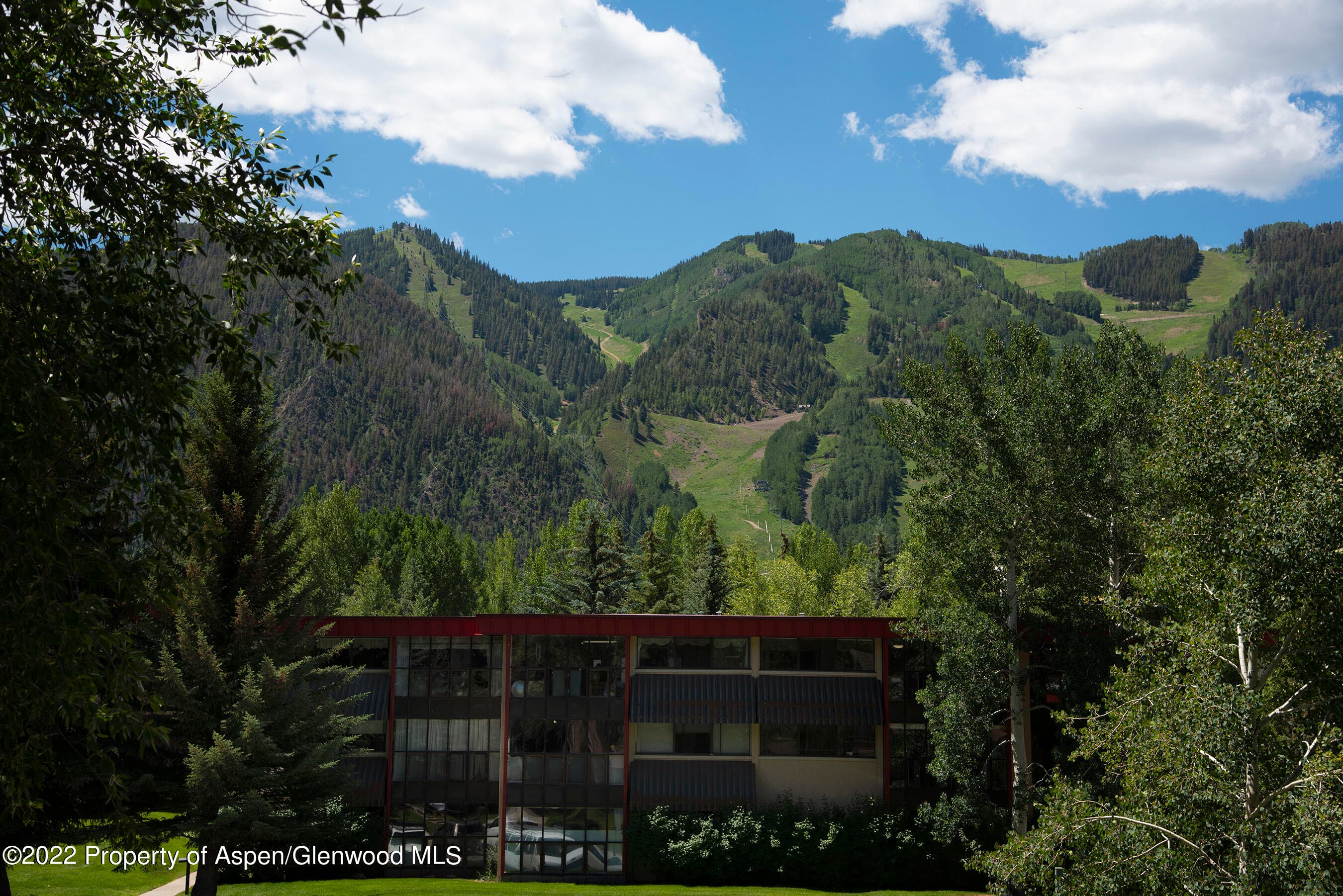 335 Vine Street 335, Aspen, CO 81611 - Photo 21