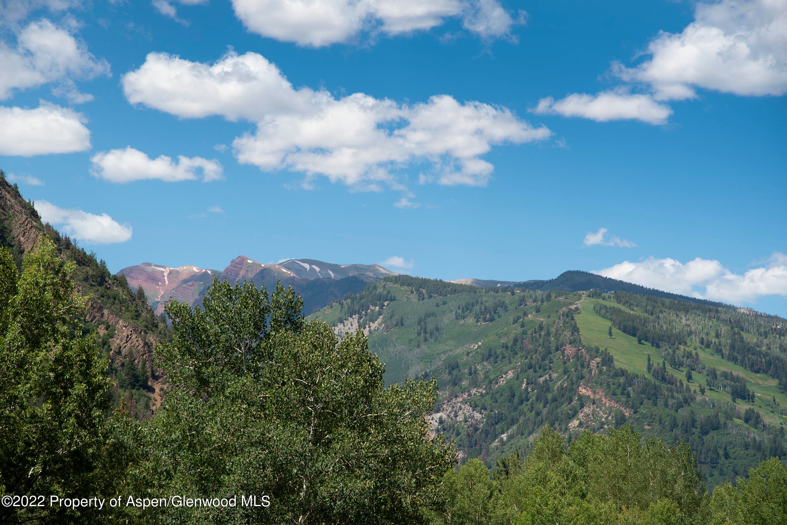 335 Vine Street 335, Aspen, CO 81611 - Photo 23