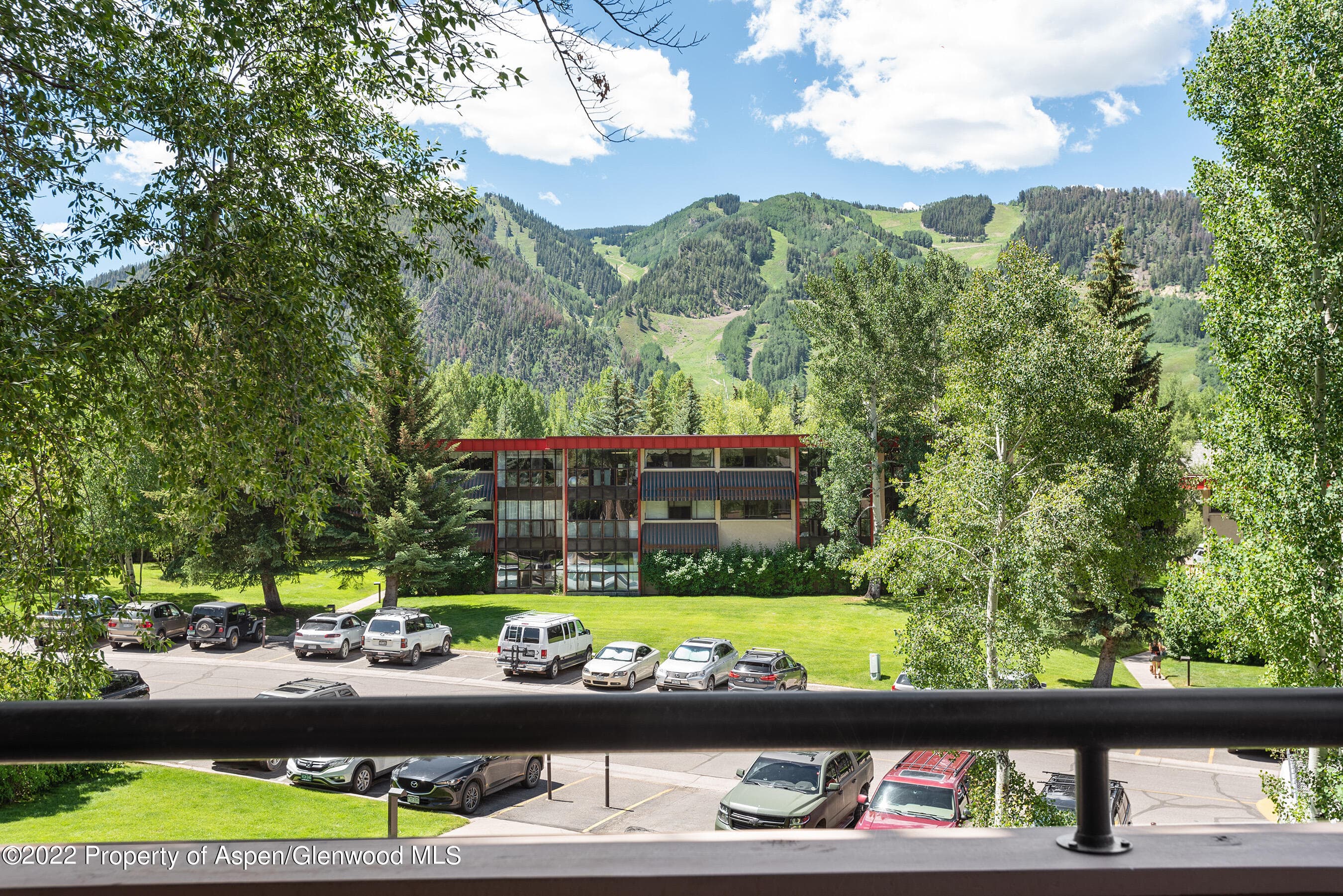 335 Vine Street 335, Aspen, CO 81611 - Photo 15