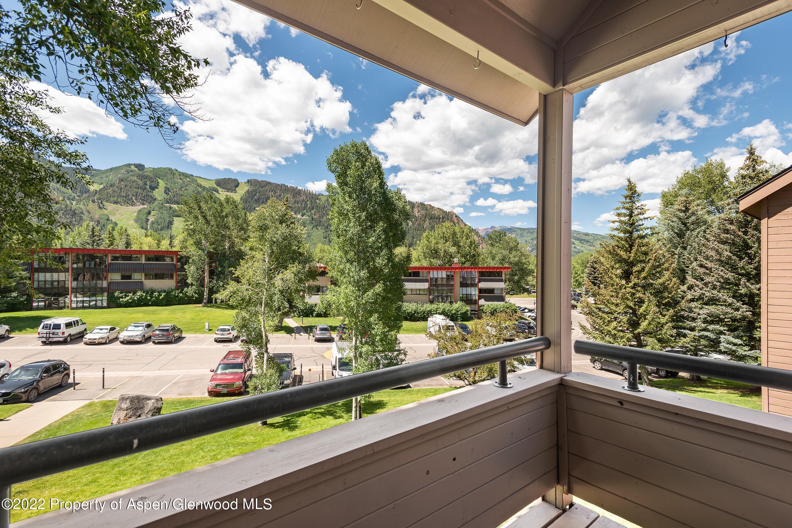 335 Vine Street 335, Aspen, CO 81611 - Photo 17