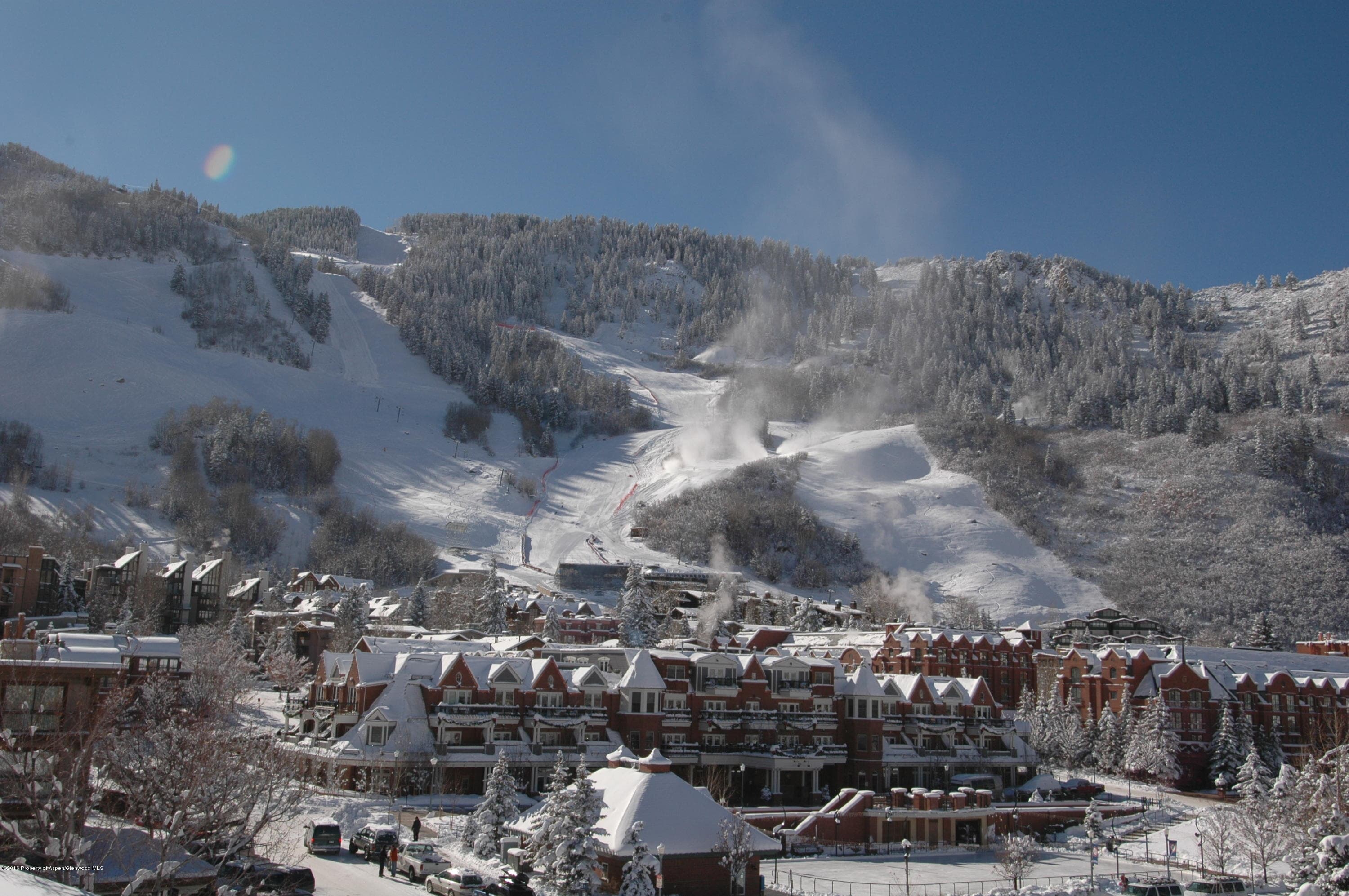 415 E Dean Street Unit 19 Week 10, Aspen, CO 81611 - Photo 13