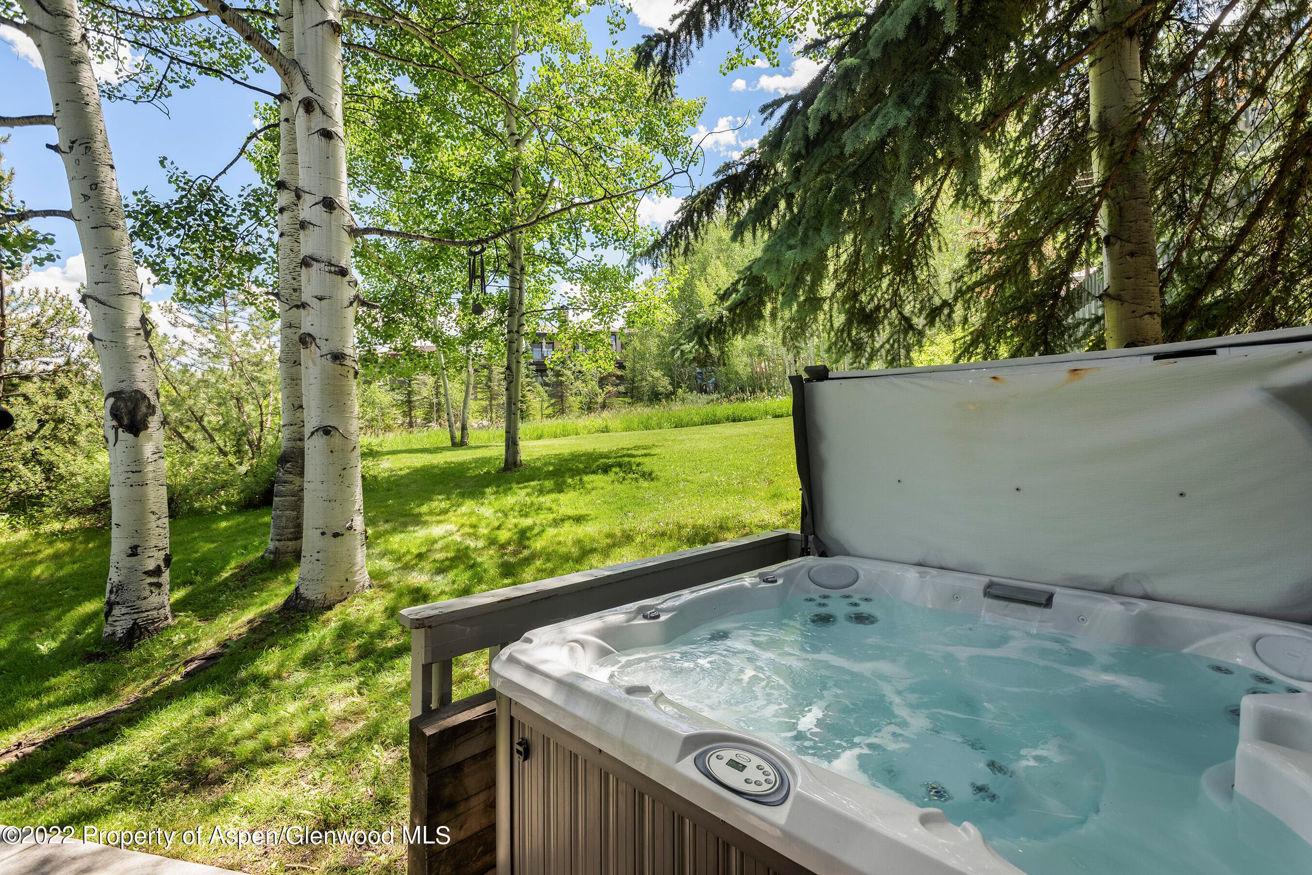 122 Meadow Ranch Road, Aspen, CO 81611 - Photo 17