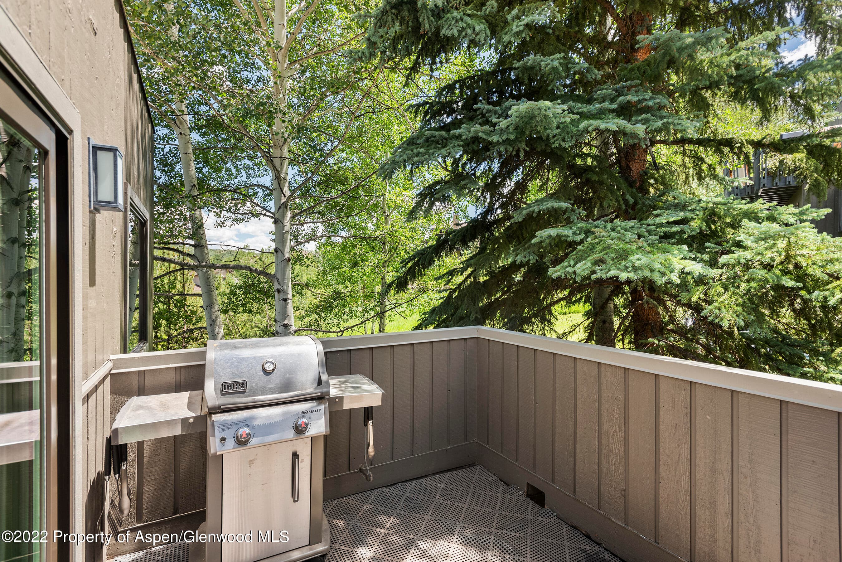 122 Meadow Ranch Road, Aspen, CO 81611 - Photo 18