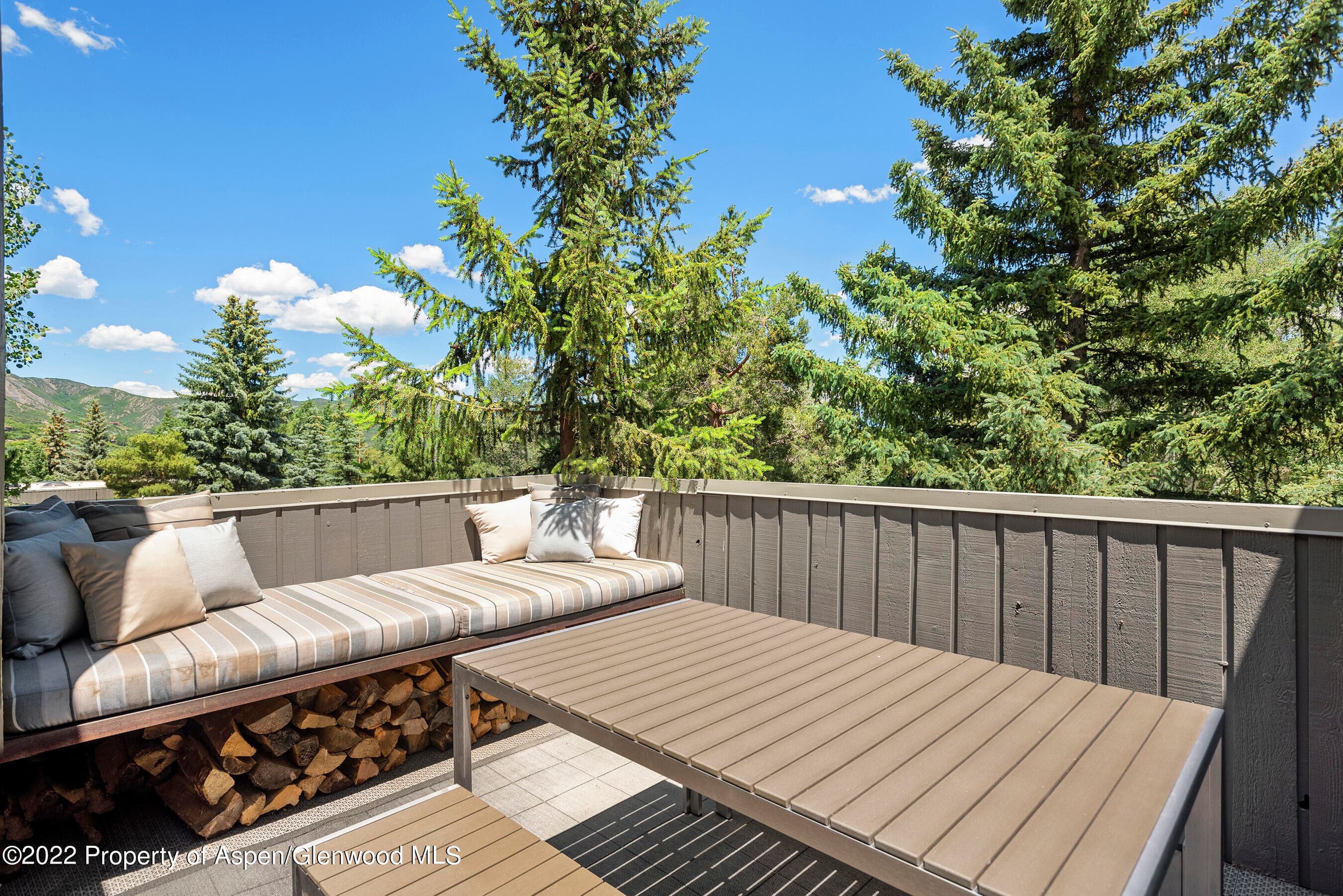 122 Meadow Ranch Road, Aspen, CO 81611 - Photo 20