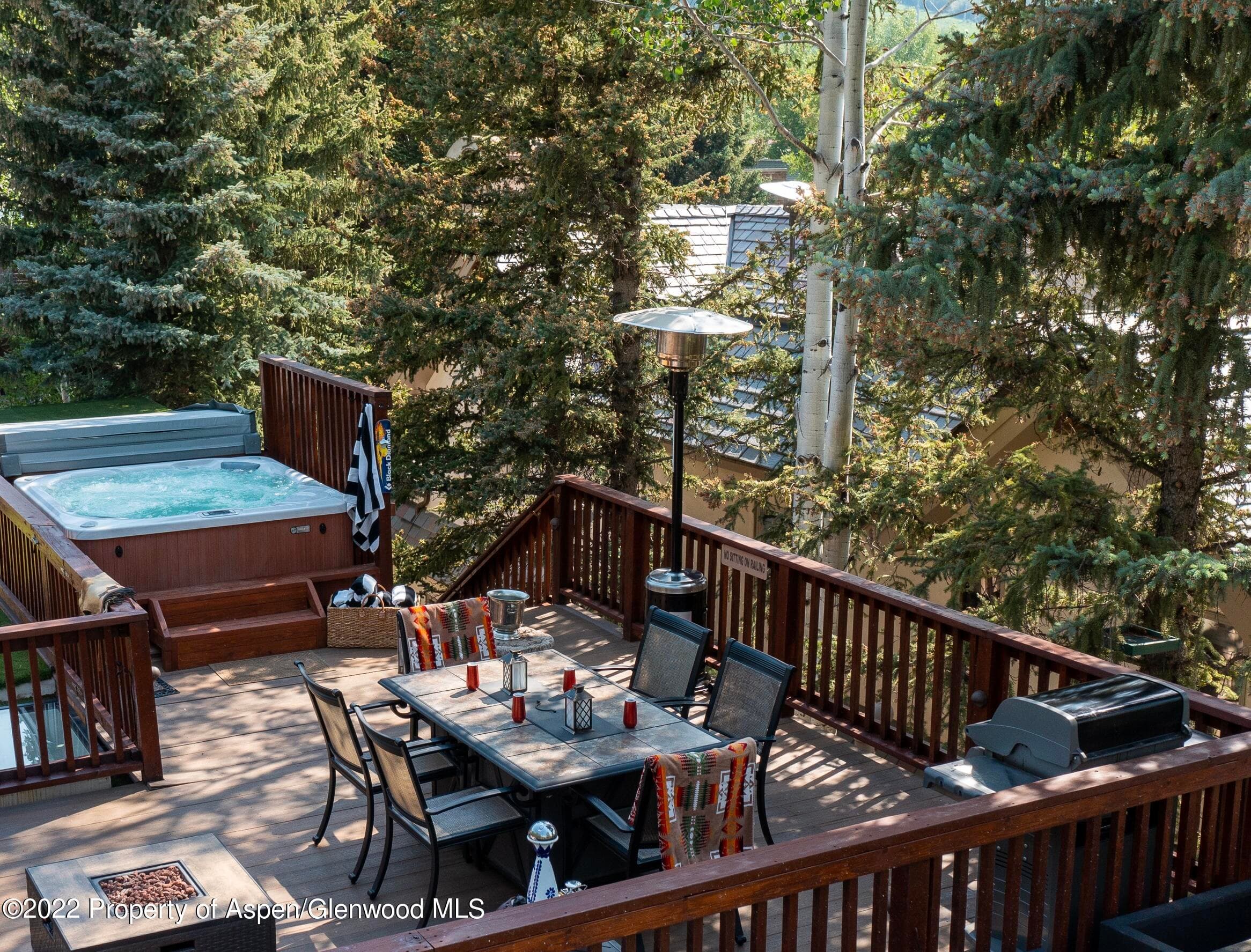 1016 E Hyman Avenue 2, Aspen, CO 81611 - Photo 16