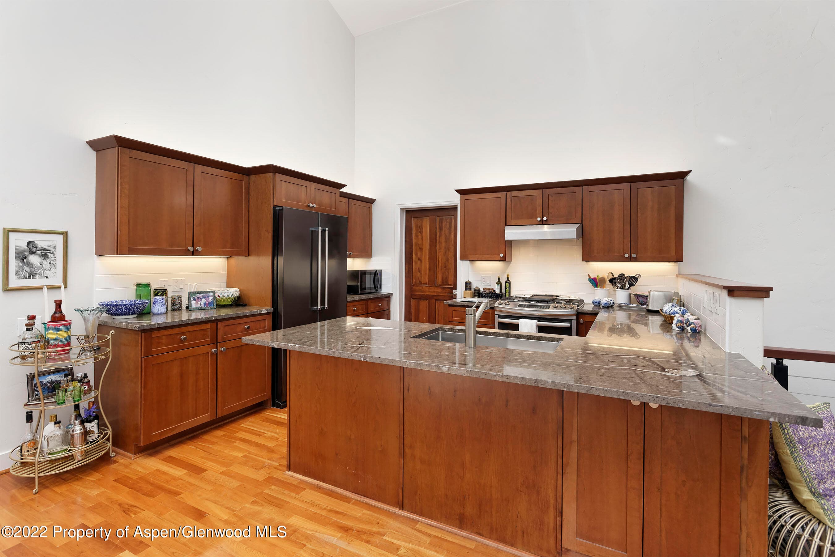 543 Evans Court, Basalt, CO 81621 - Photo 4