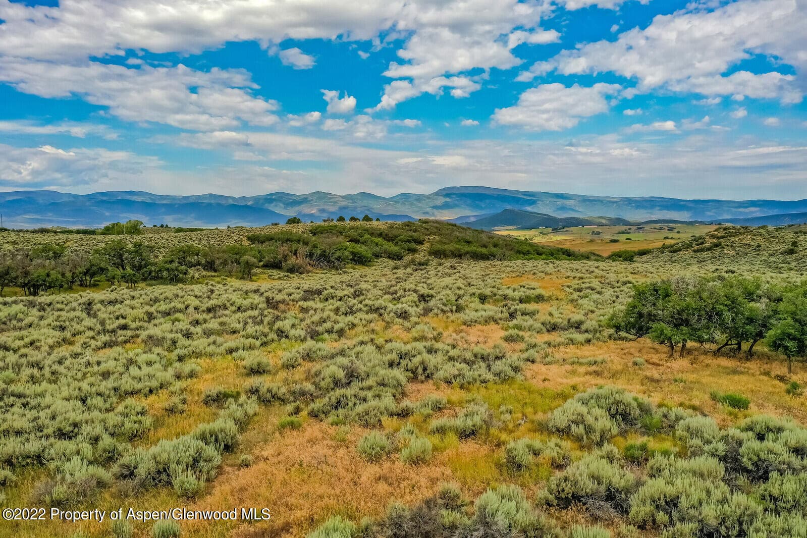 601 Park Meadows Lane, Carbondale, CO 81623 - Photo 5