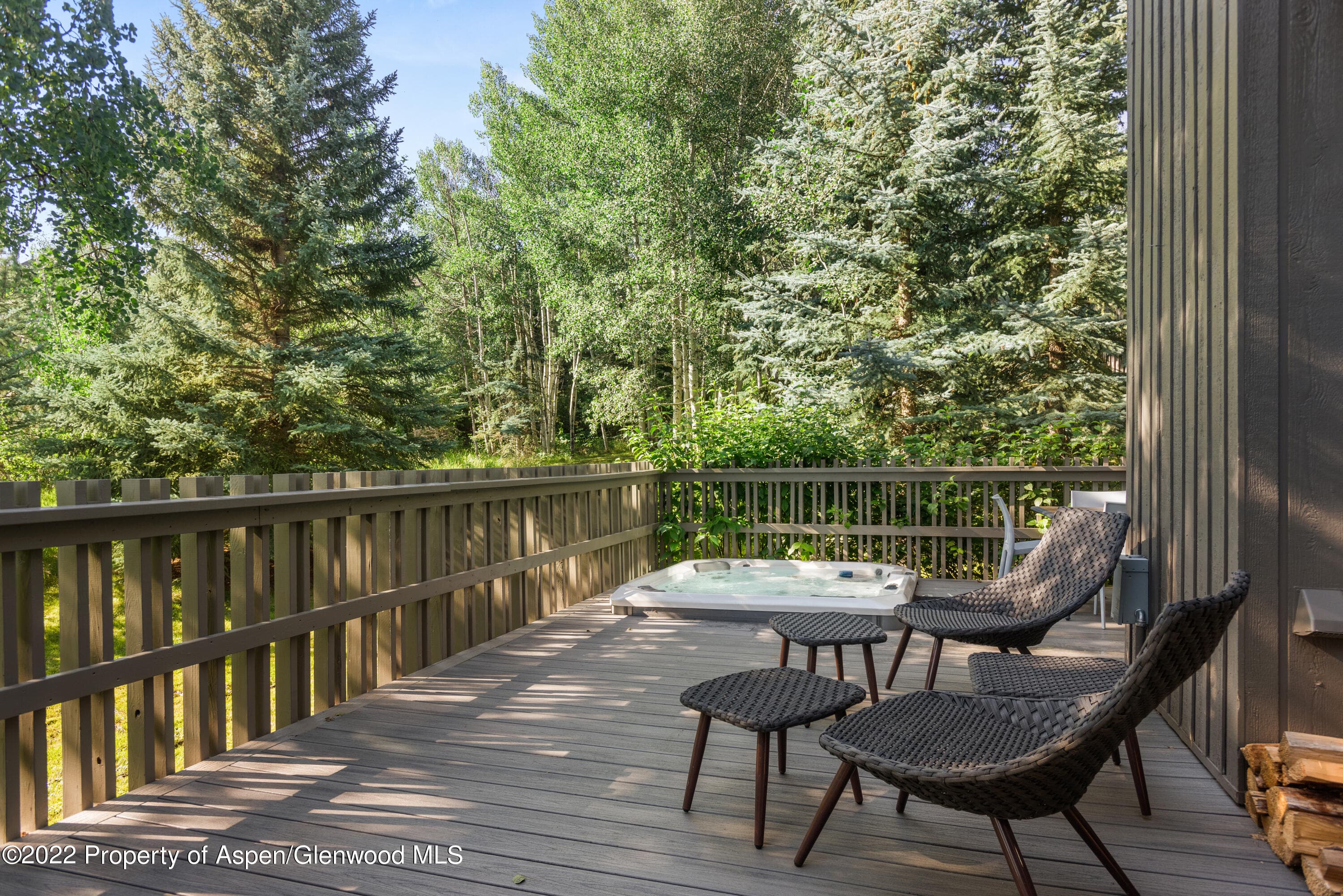 384 Fawn Court F4D, Snowmass Village, CO 81615 - Photo 11