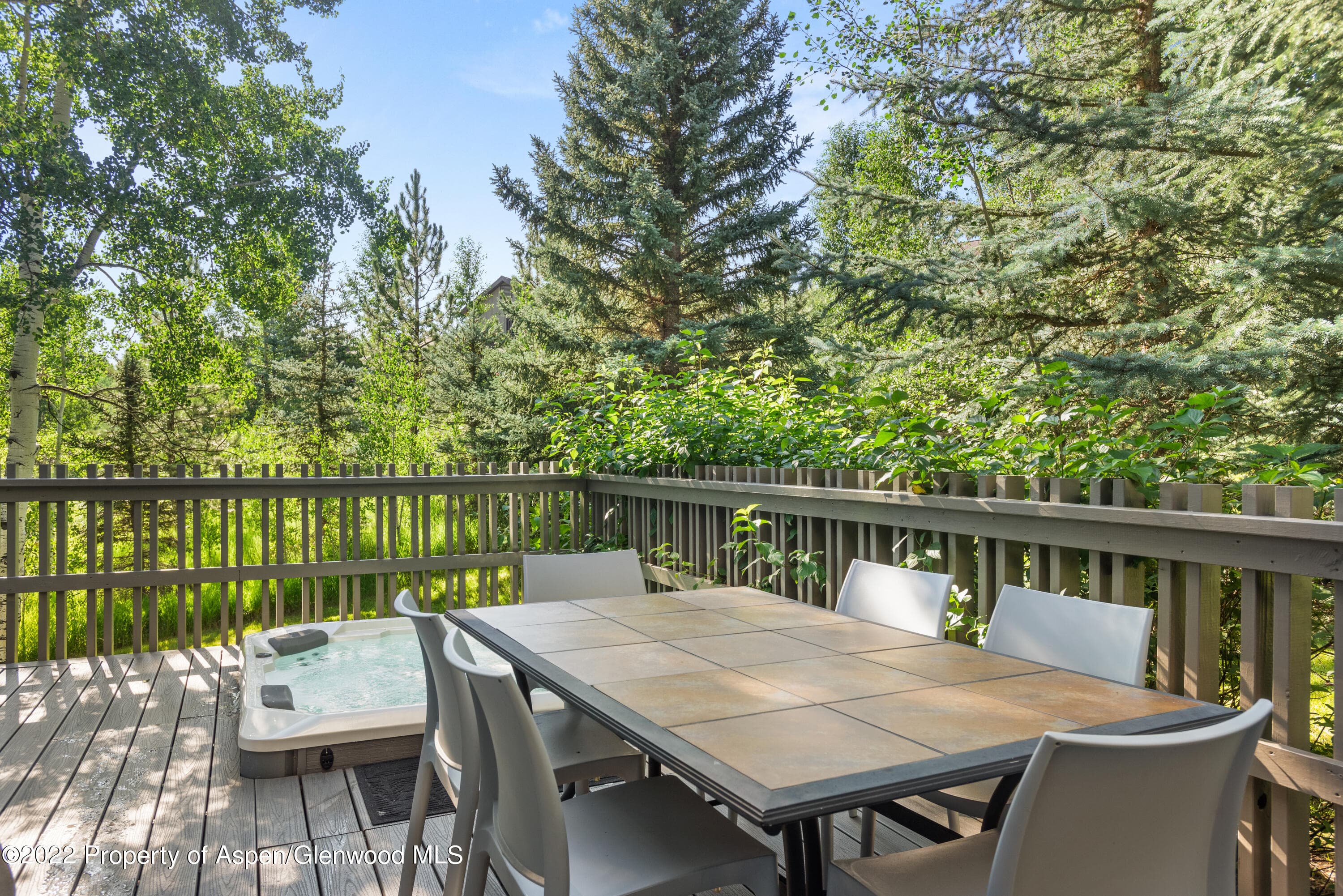 384 Fawn Court F4D, Snowmass Village, CO 81615 - Photo 13