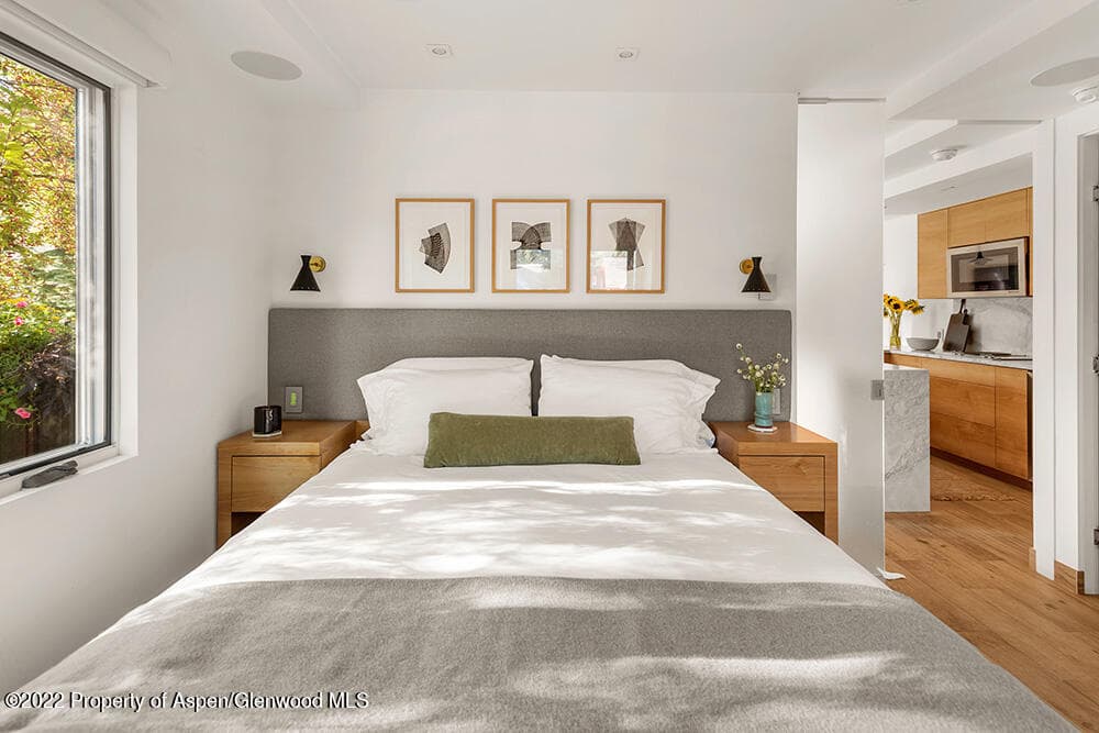 119 E Cooper Avenue 15, Aspen, CO 81611 - Photo 11