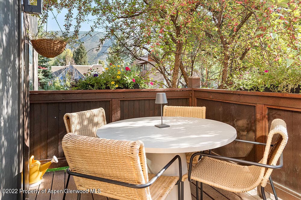 119 E Cooper Avenue 15, Aspen, CO 81611 - Photo 13