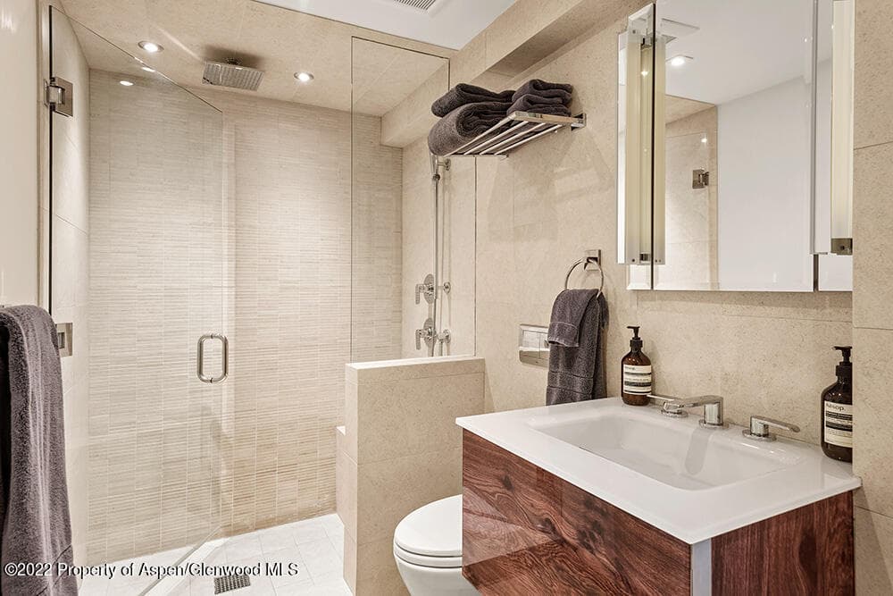 119 E Cooper Avenue 15, Aspen, CO 81611 - Photo 12