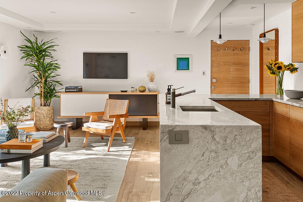 119 E Cooper Avenue 15, Aspen, CO 81611 - Photo 9