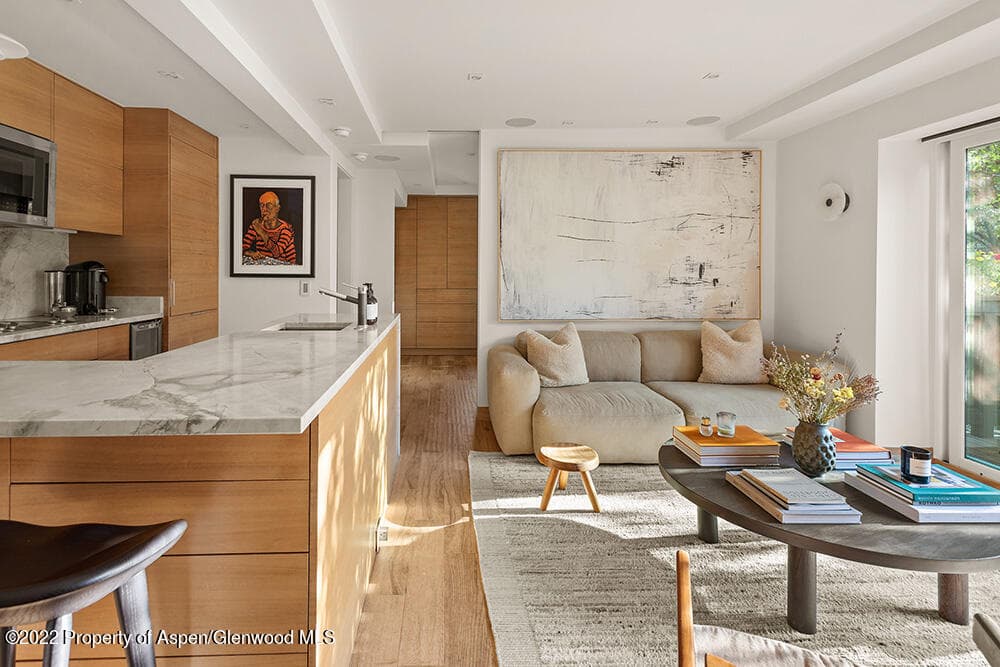 119 E Cooper Avenue 15, Aspen, CO 81611 - Photo 8